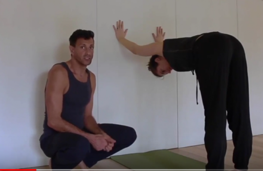 Most Effective Shoulder Opening Yoga Poses — Doron Yoga