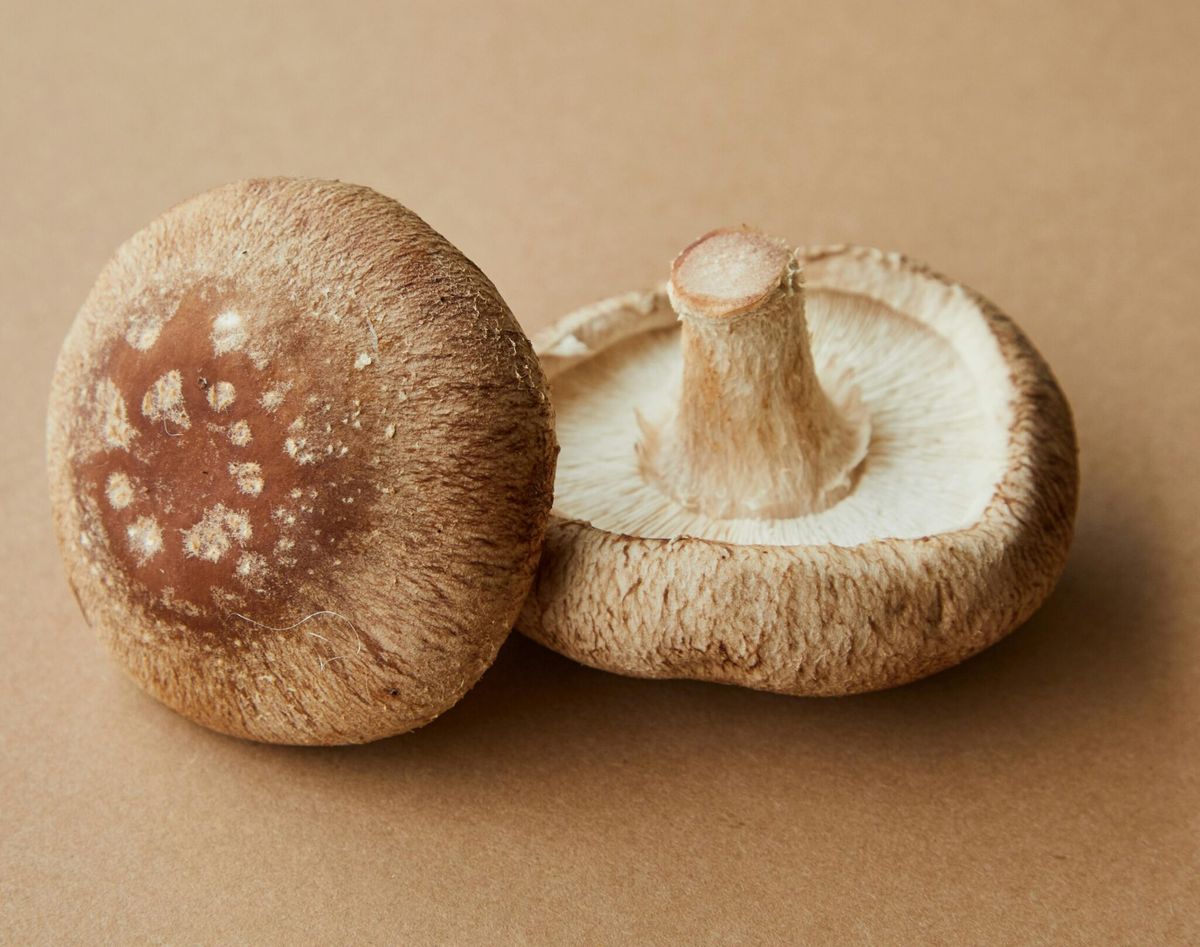 Shiitake mushrooms, one of the ingredients in the salad.