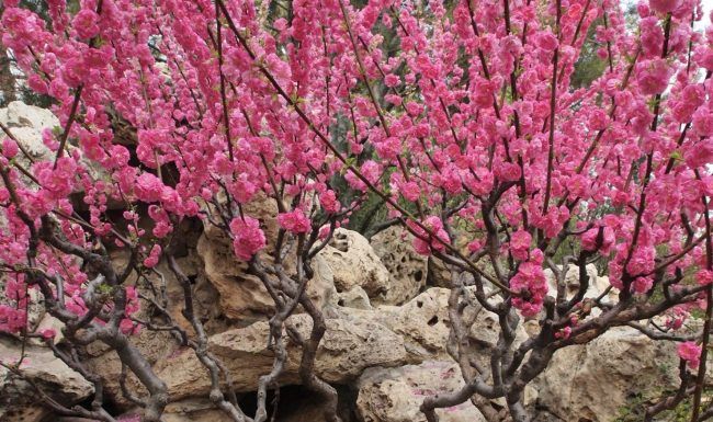 Yoga Philosophy Part I: Is there life after death? — Doron Yoga