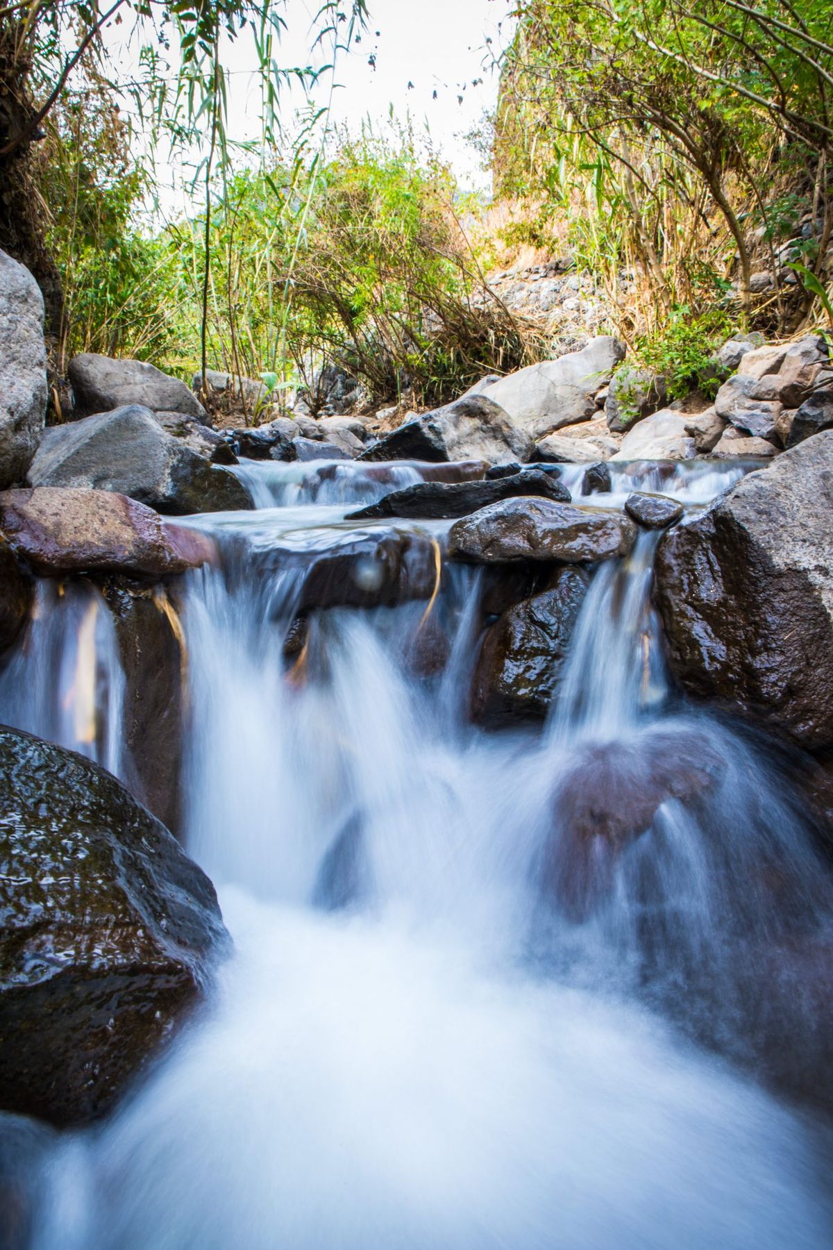 A small waterfall in the forest.