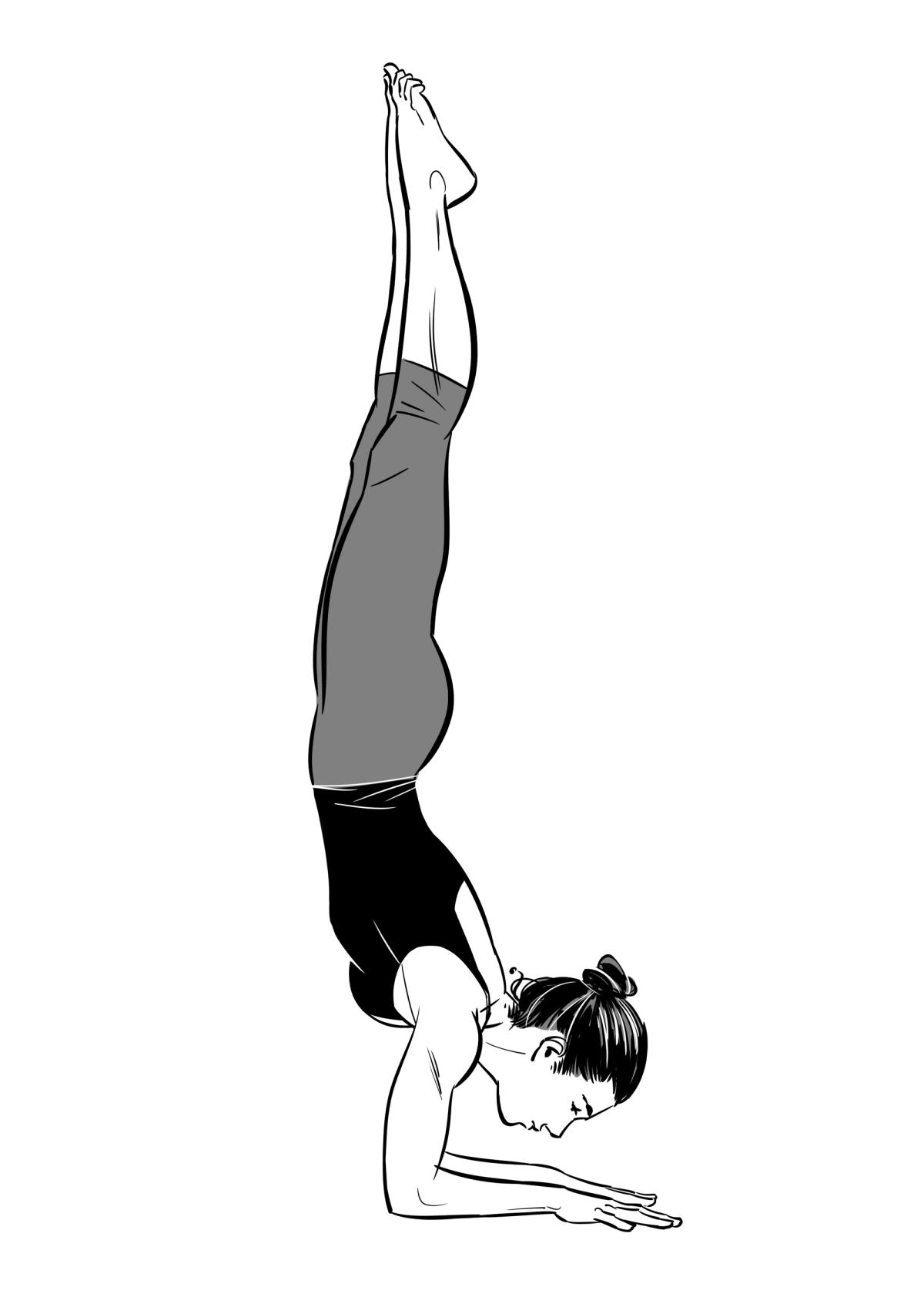 Forearm Balance - Pinchamayurasana — Happy Baby Yoga
