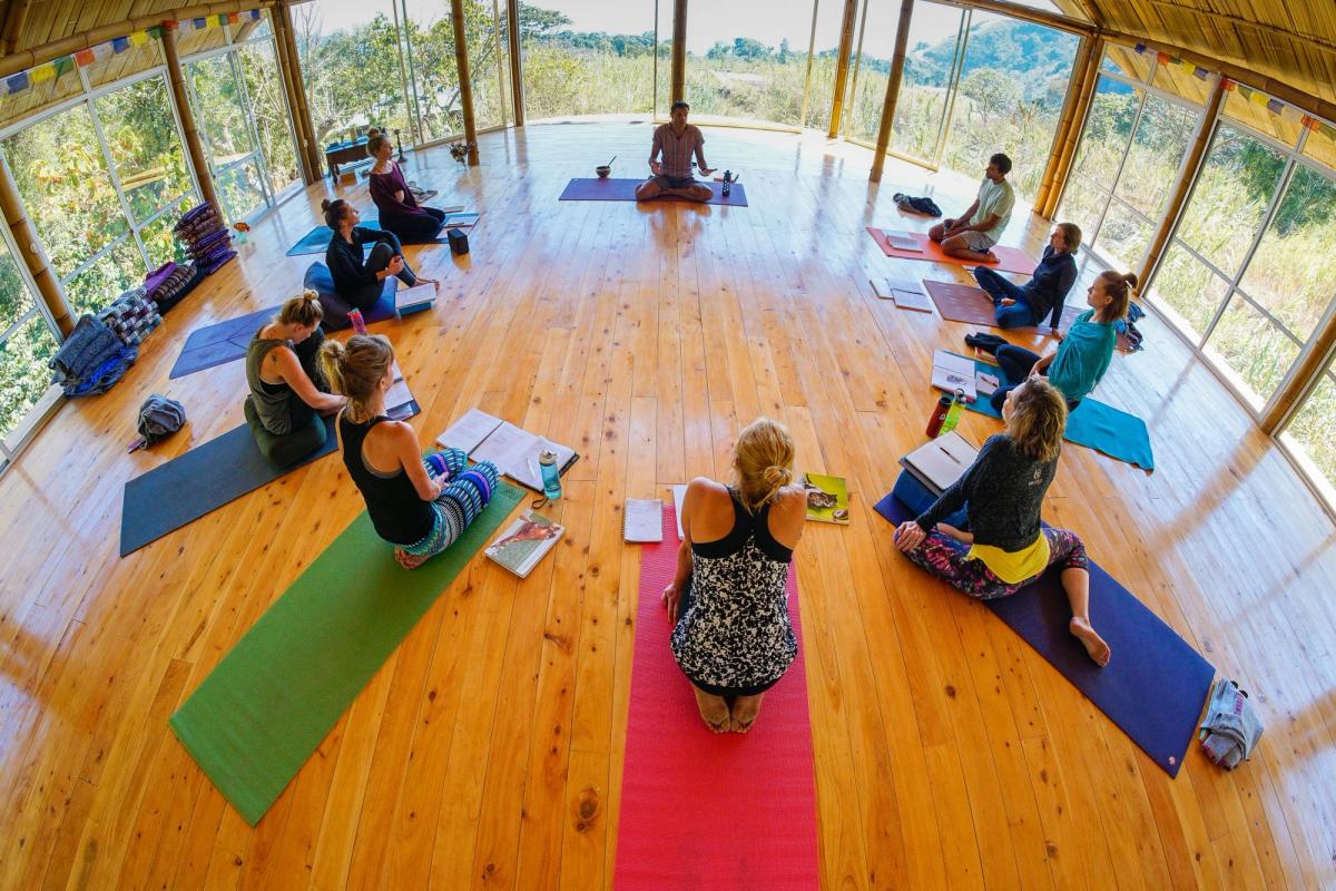 A class in downward-facing dog.
