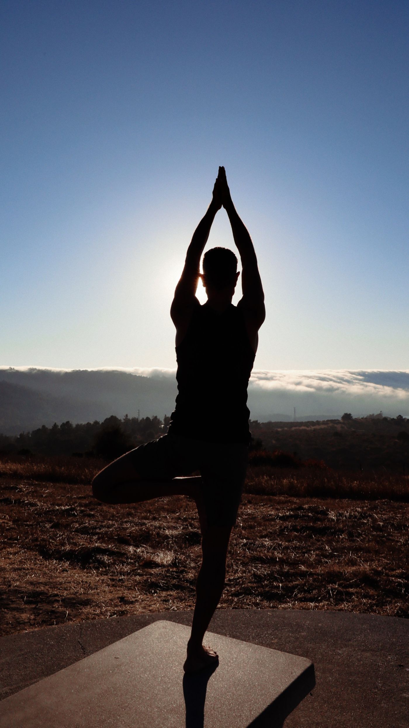 Yoga Philosophy Part VIII: Process of Dying and Rebirth According to Tibetan Buddhism — Doron Yoga