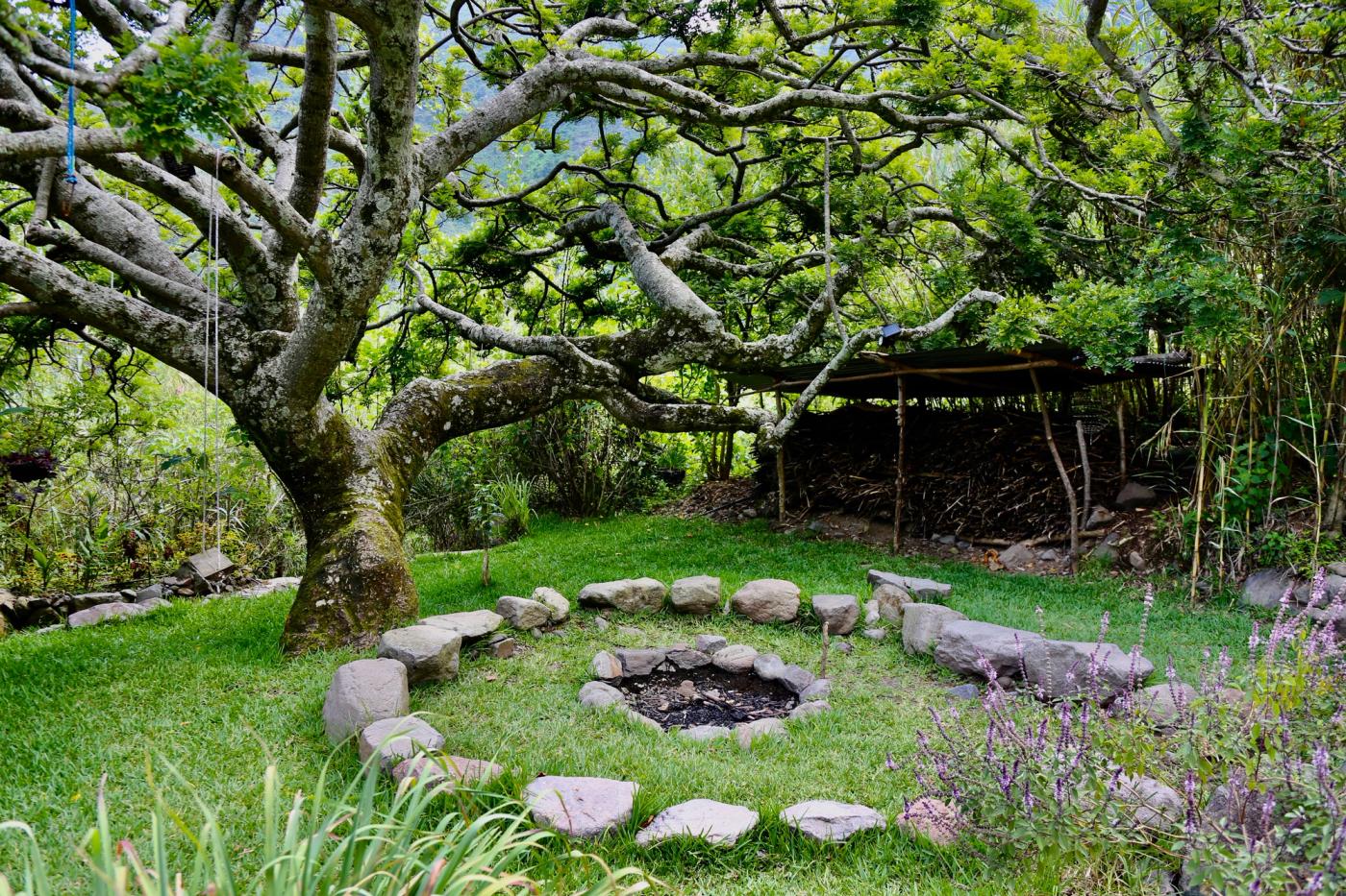 Temazcal: Return to the Earth — Doron Yoga