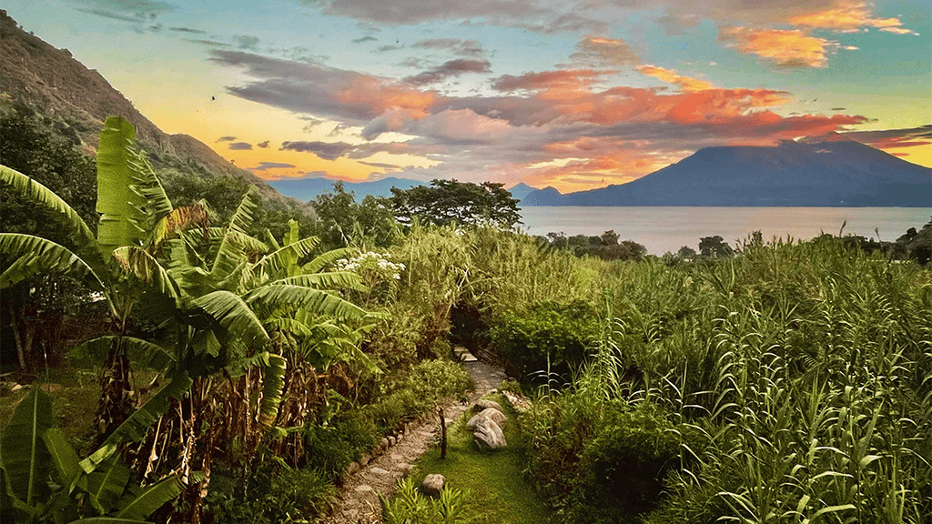 A stone path through tall grass toward the lake at sunset.