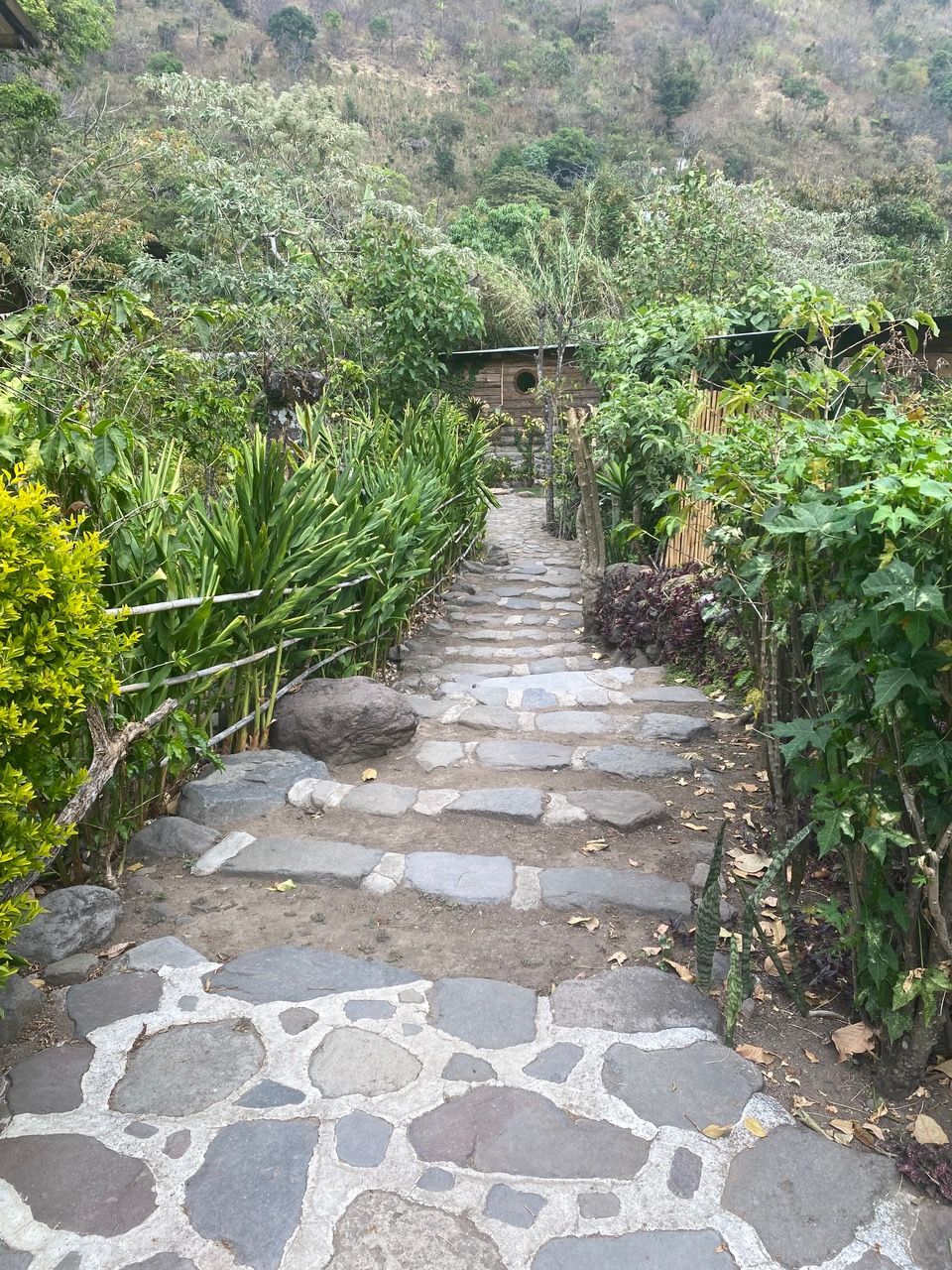 A stone path climbing through the garden.