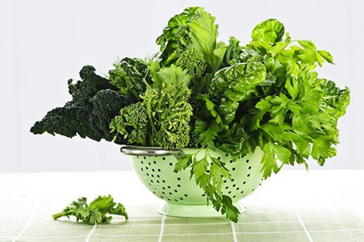 Curly kale in a colander with parsley and broccolini.