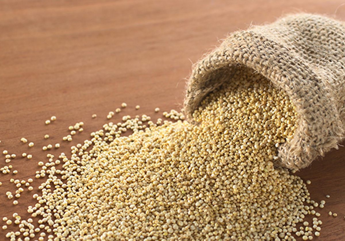 Pale seeds spilling from a cloth sack.