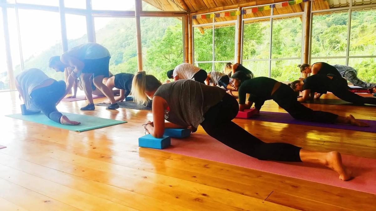 A class practicing a low lunge.