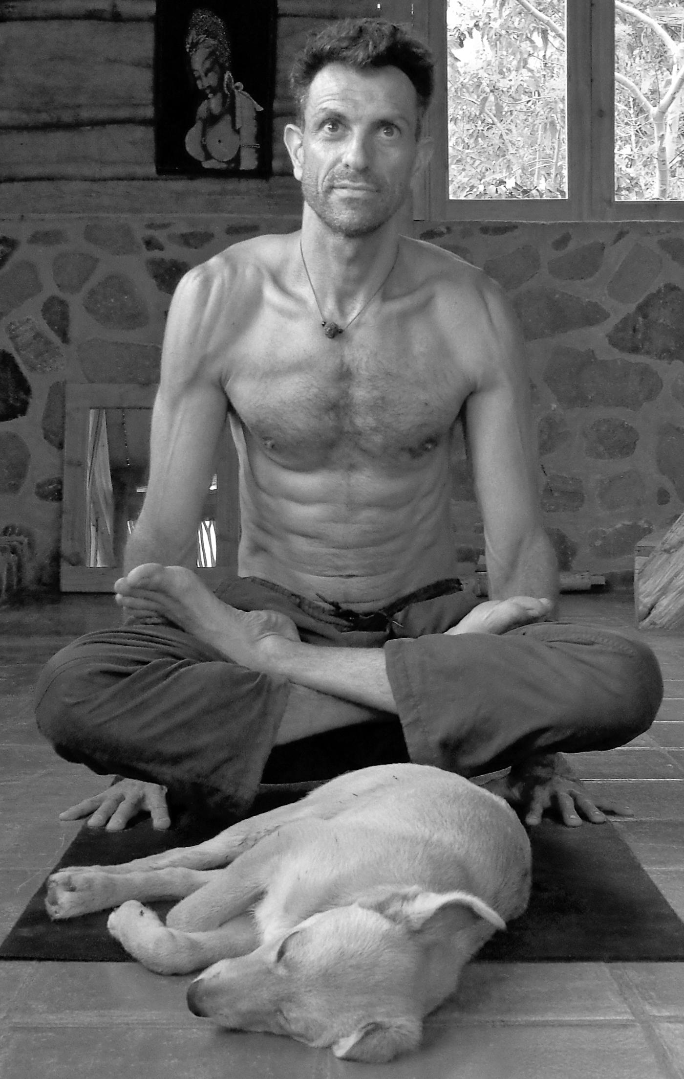 Yogic Entrepreneurship: Naked Reflection of the 2 Years since the DYZC was a Jungle — Doron Yoga