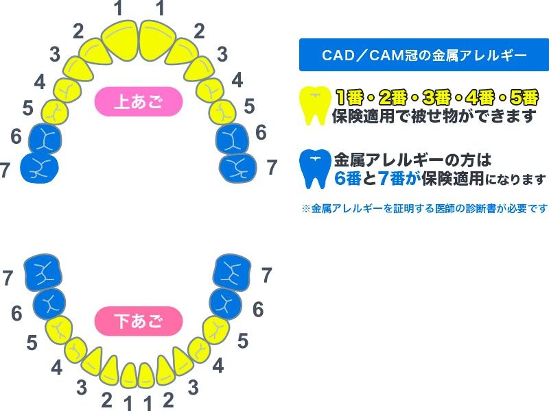 審美歯科｜診療メニュー｜オーク歯科クリニック