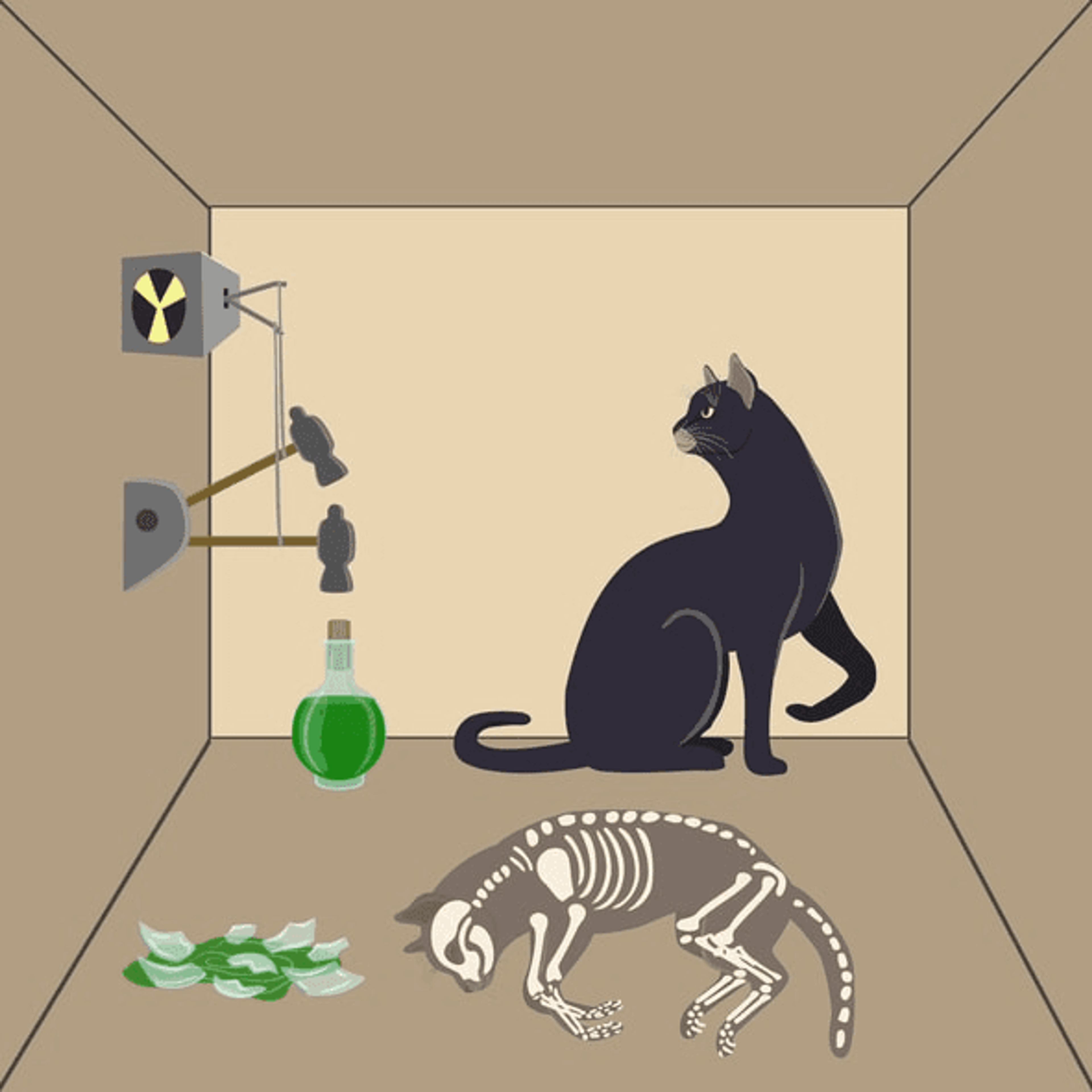 A visual representation of quantum superposition related to Schrödinger's cat.