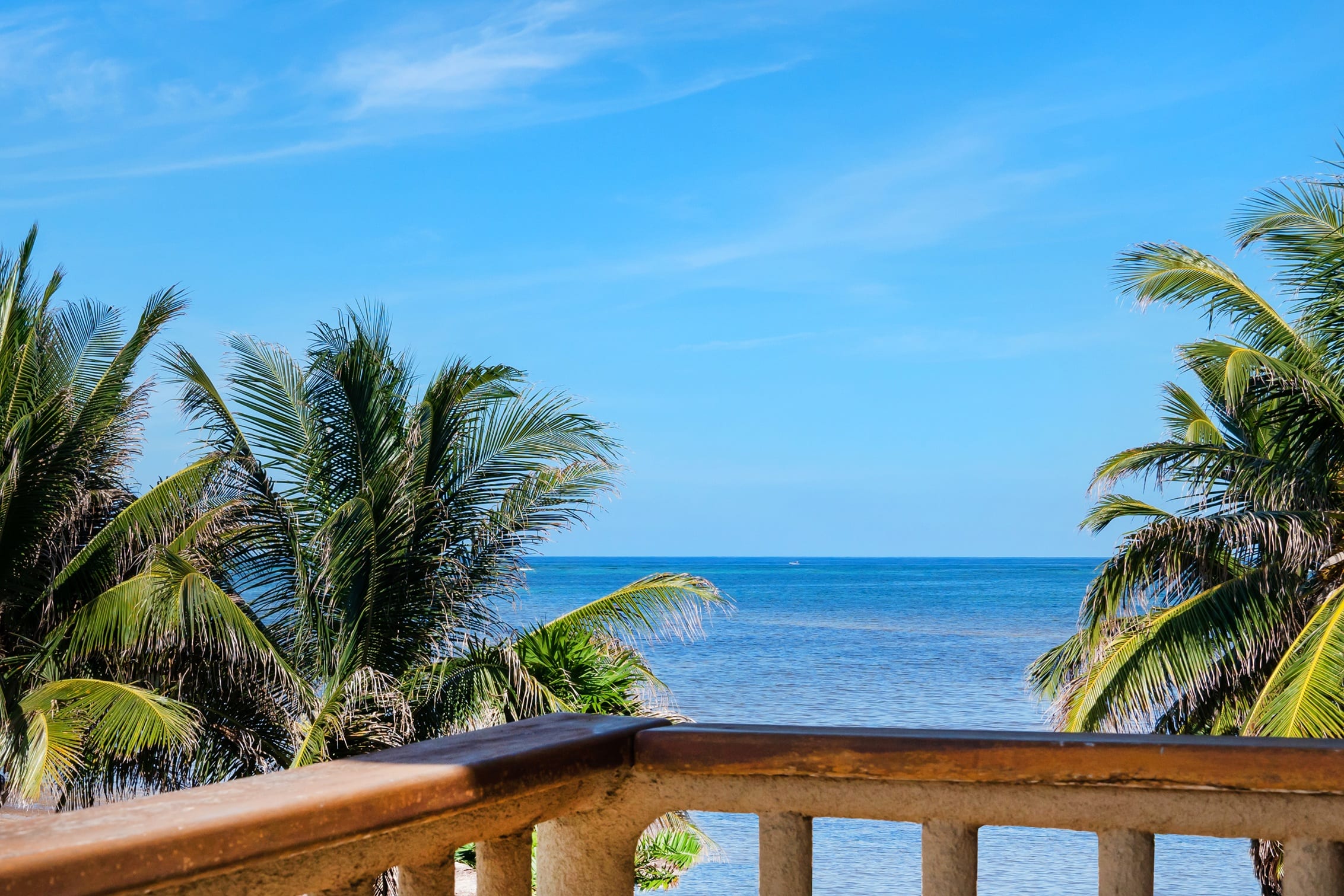 Ocean view framed by palm trees from the balcony
