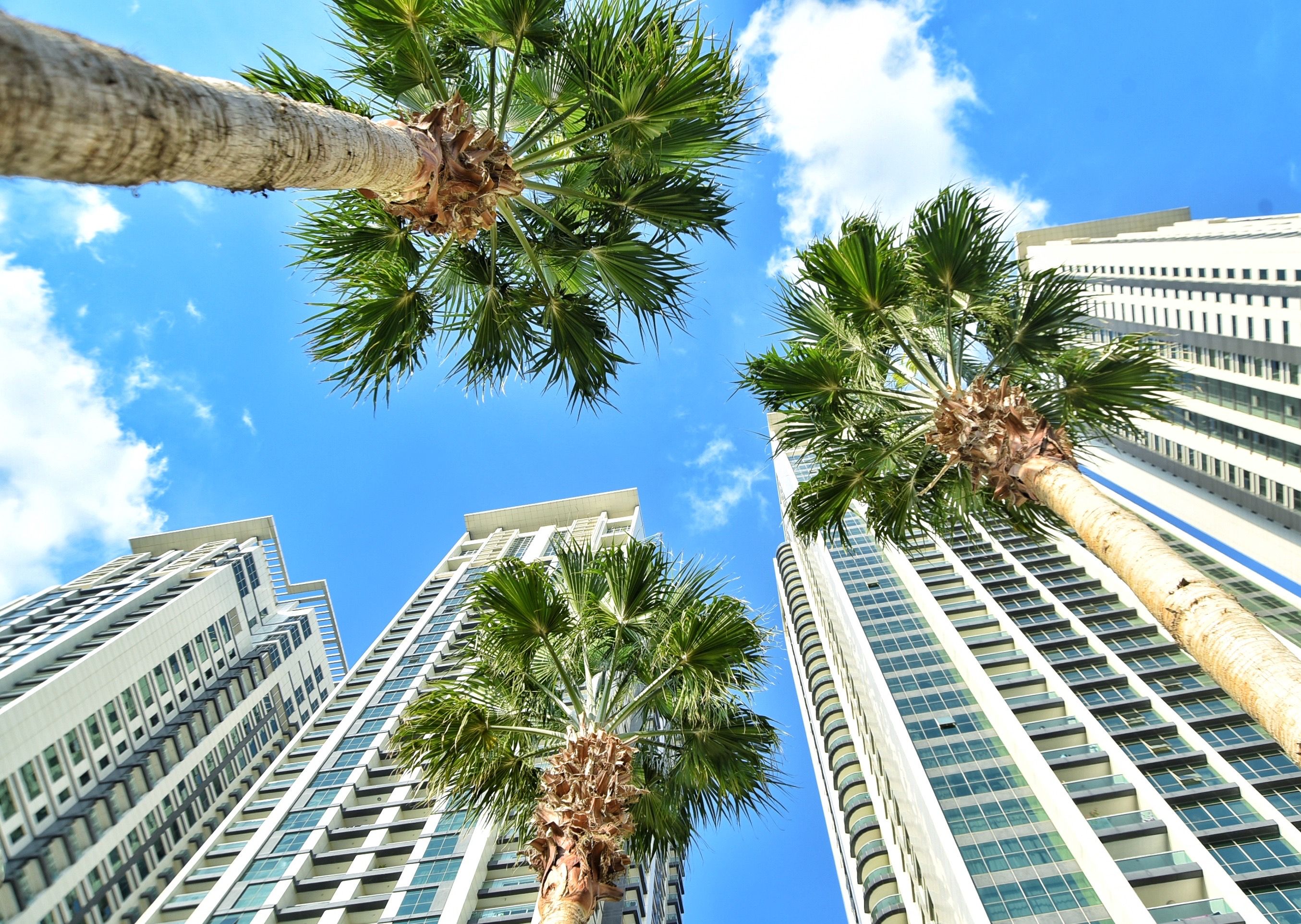 Estoppel Letter Florida: Fees, Timing & Closing Delays