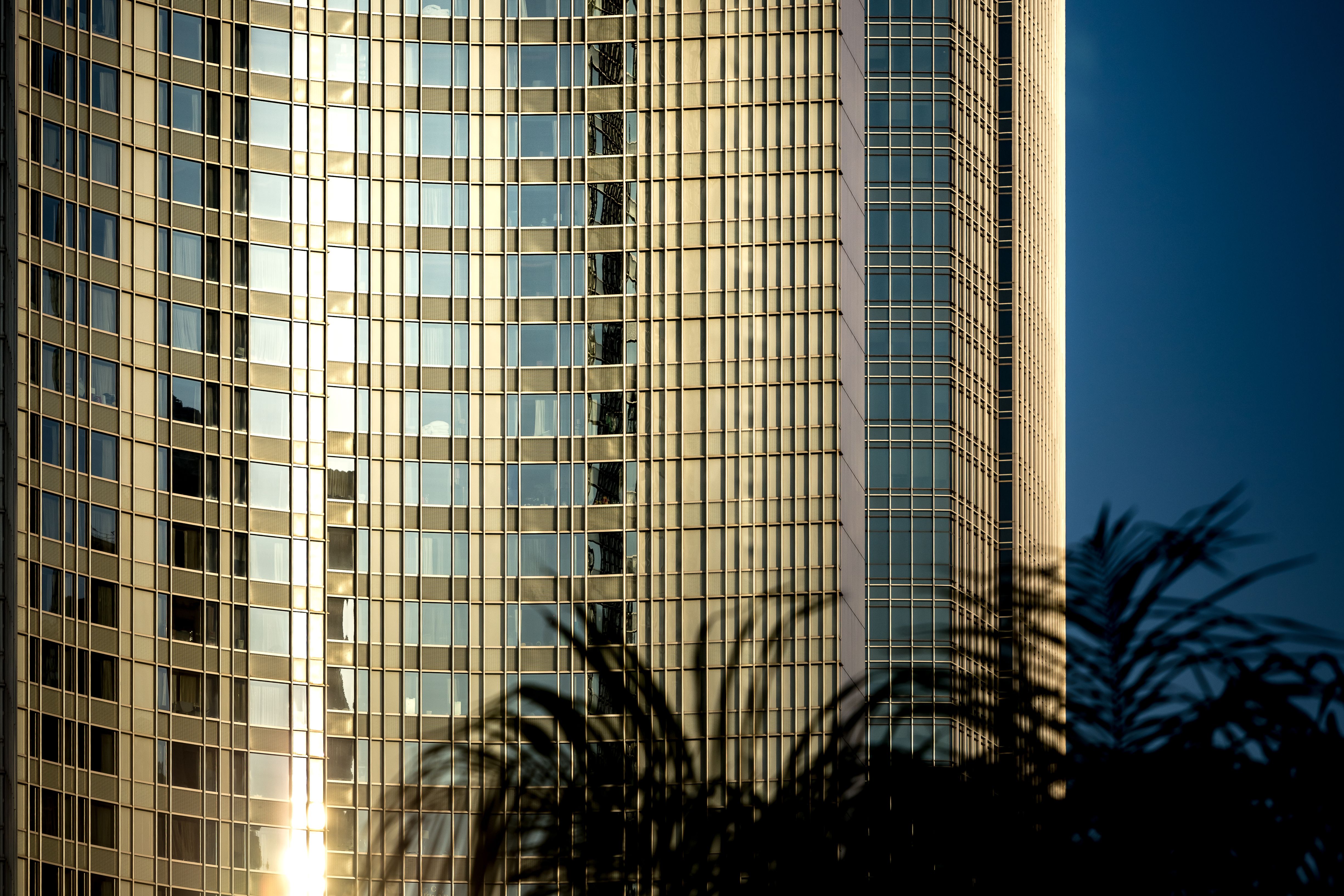Florida Condo Milestone Inspection: St. Pete Buyer Guide