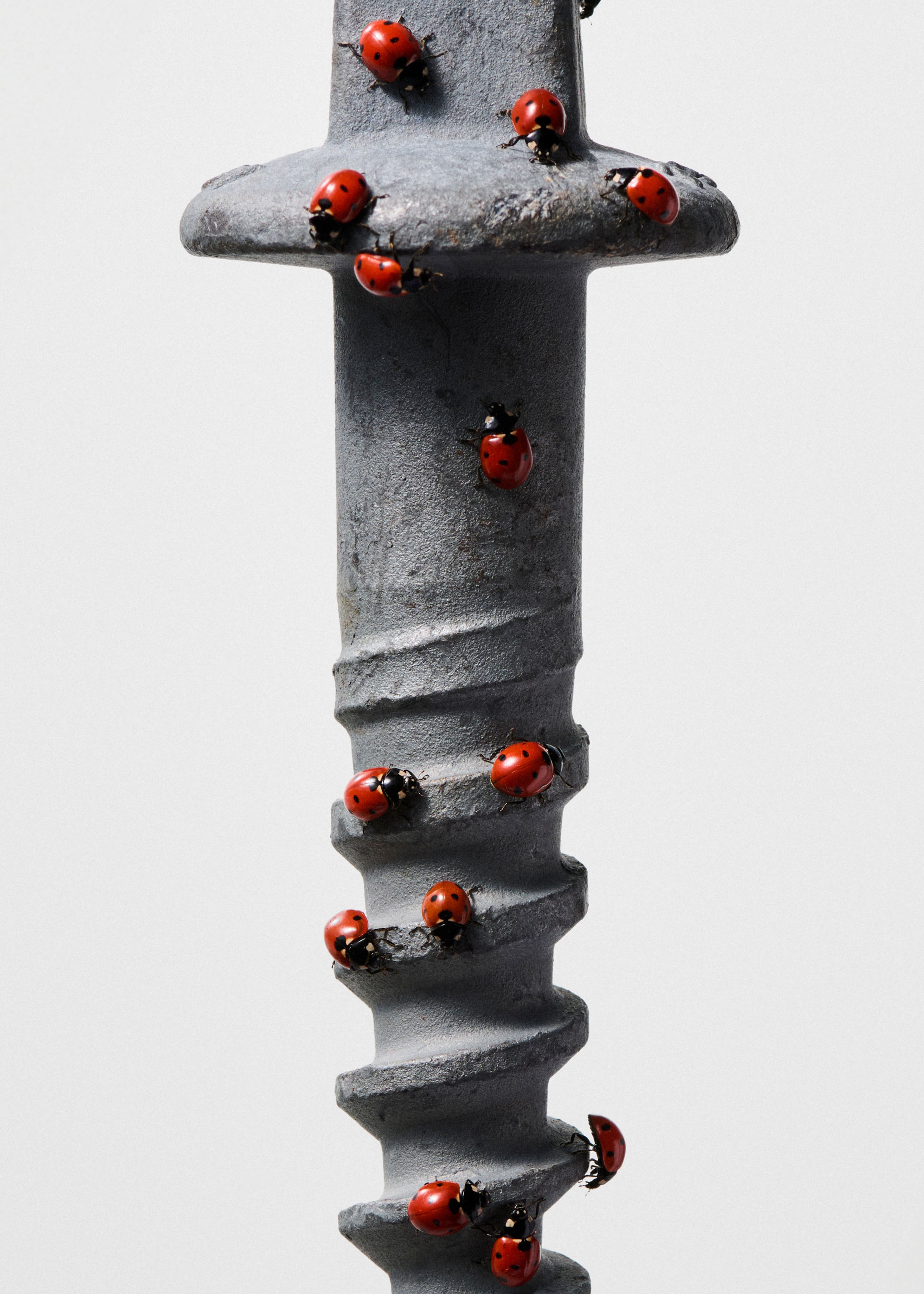 Invisible life, Underbug | Harel+Ocante