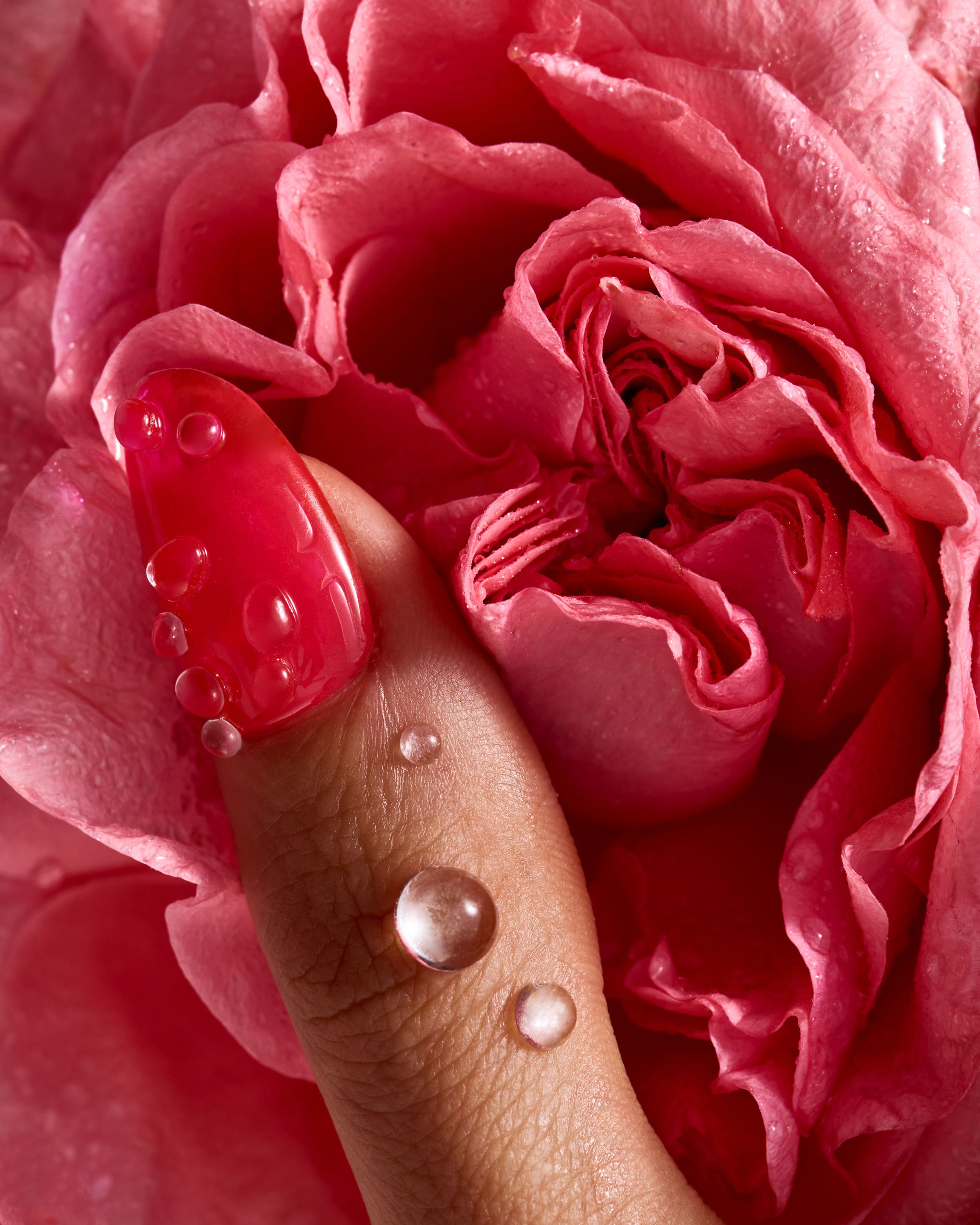 Hands, Joonbyrd | Harel+Ocante