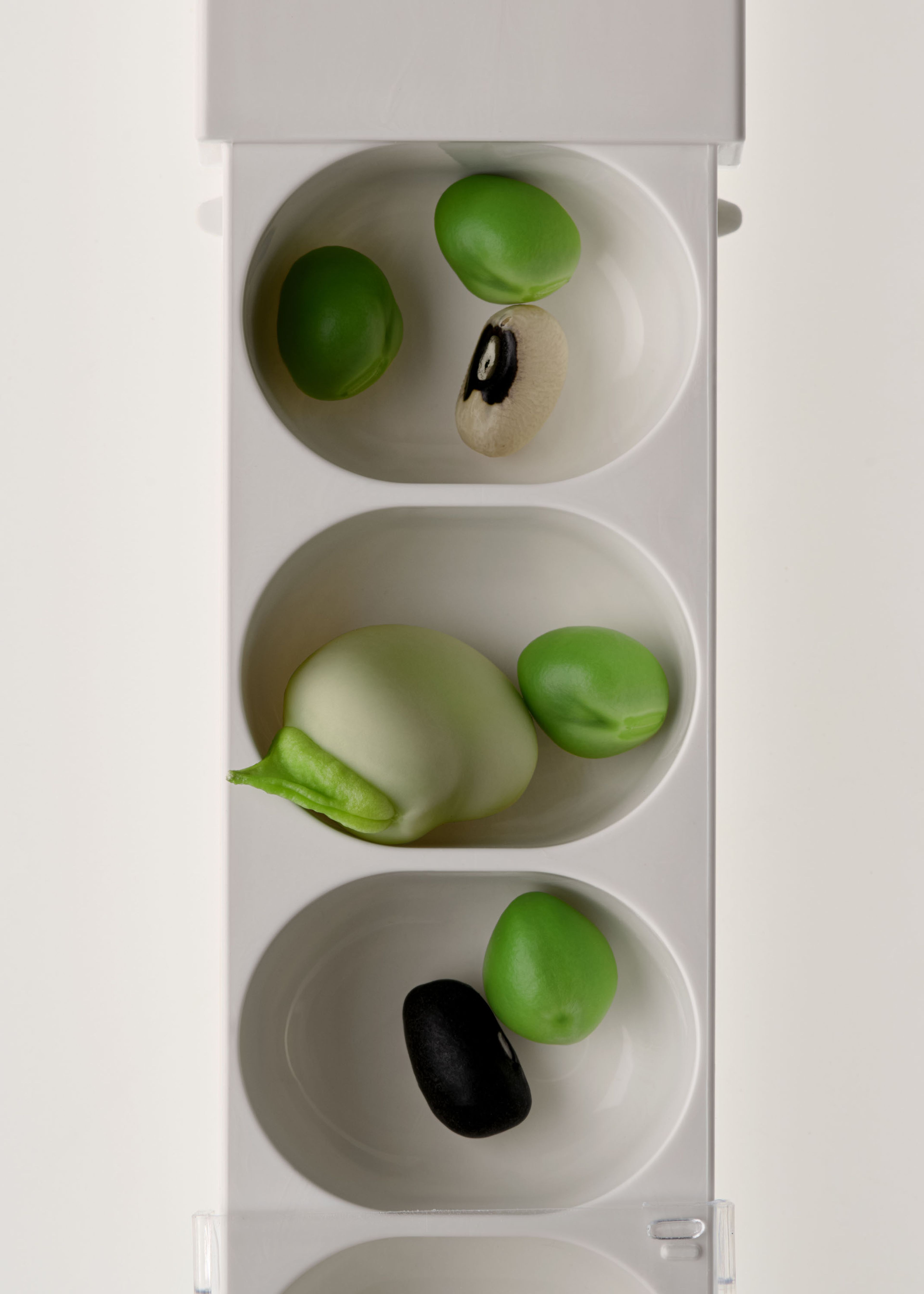Morning Routine, Personal | Harel+Ocante