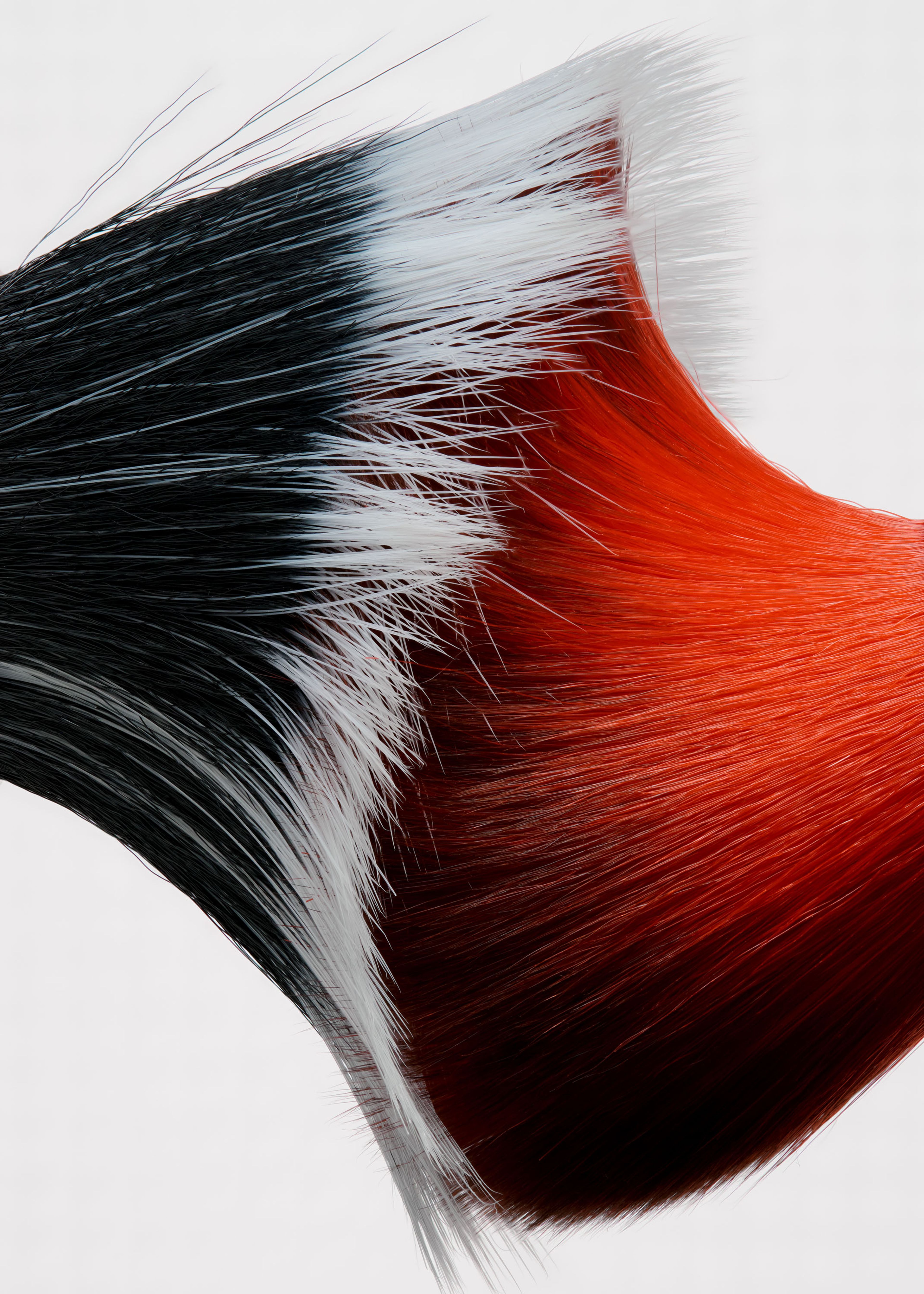 Tools, Personal | Harel+Ocante