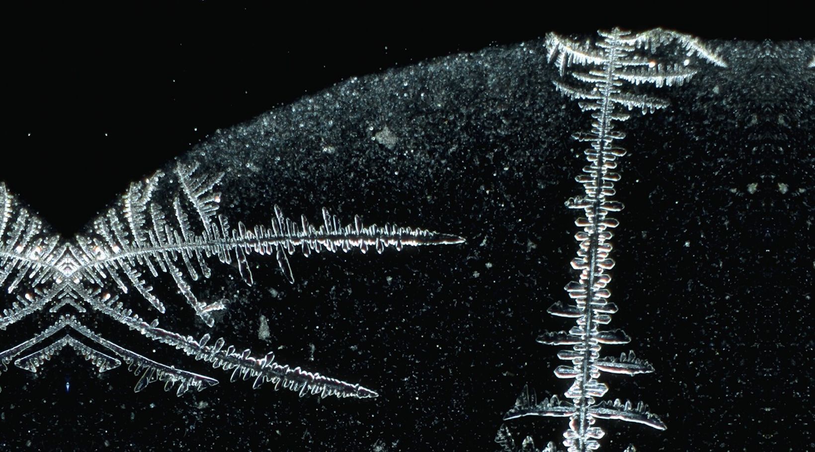 Ice crystals spreading across a dark surface
