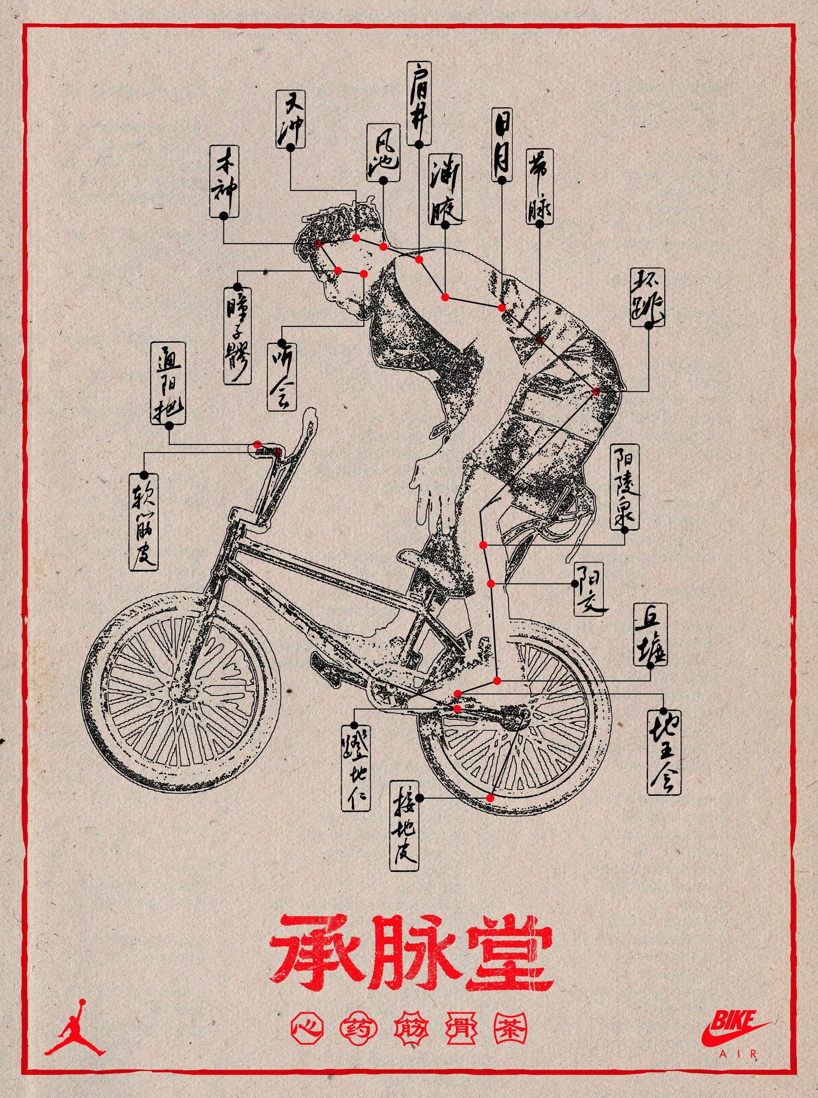 Acupuncture-point poster of a rider on a BMX bike