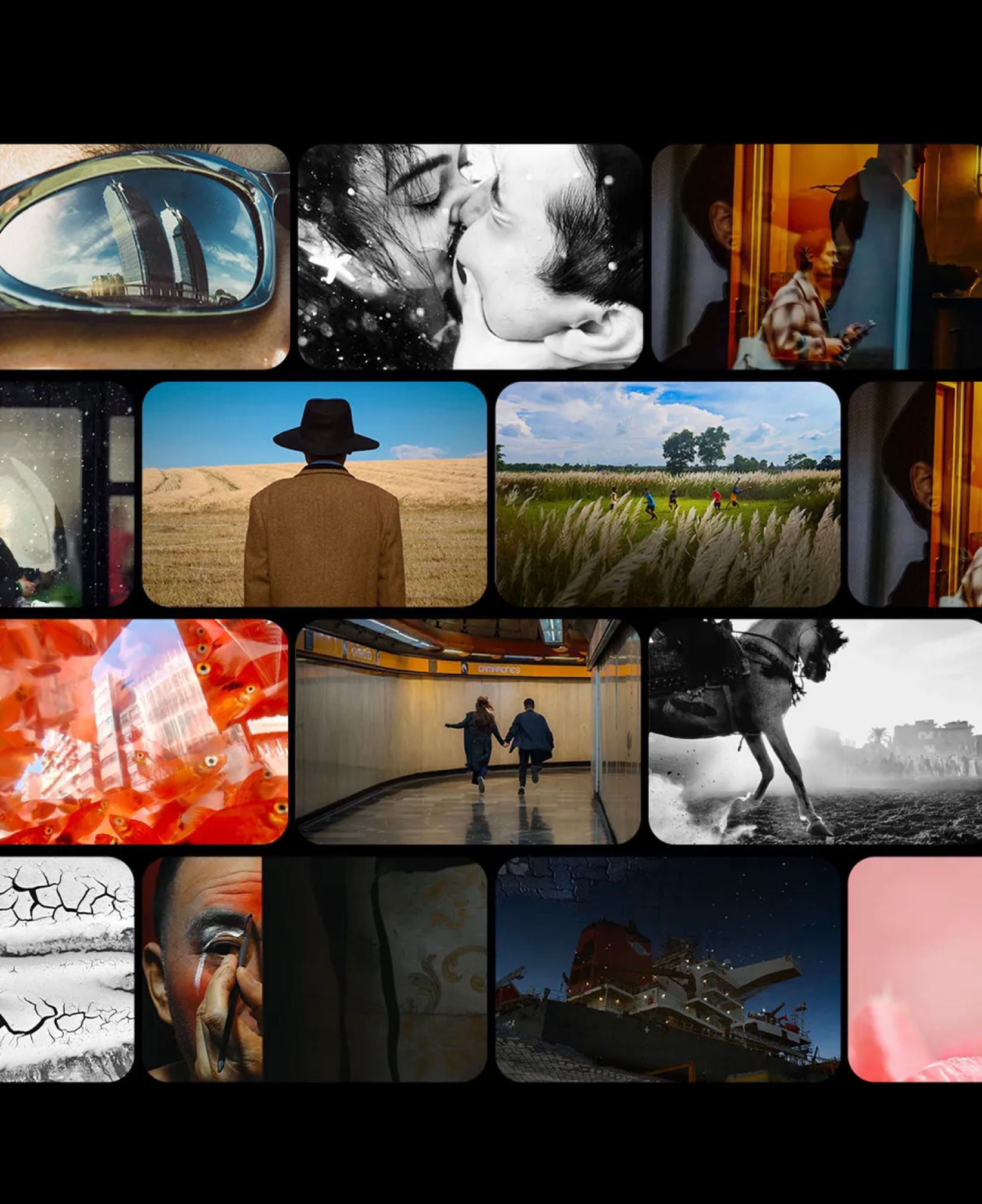 Grid of everyday photographs in rounded frames