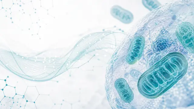 Case Study: Long COVID Fatigue in a 35-Year-Old Man — Mitochondrial Restoration Protocol with 12-Week Follow-Up Using the Functional Health Matrix