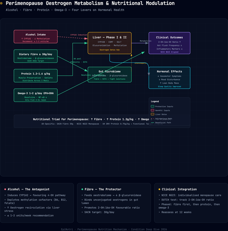 Mechanism diagram — Perimenopause Nutrition: Alcohol, Fibre, Protein, and Omega-3 -- A Functional Medicine Framework