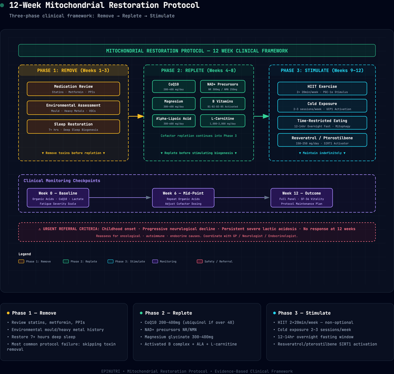 Protocol flowchart — Mitochondrial Restoration Protocol: A 12-Week Functional Medicine Framework