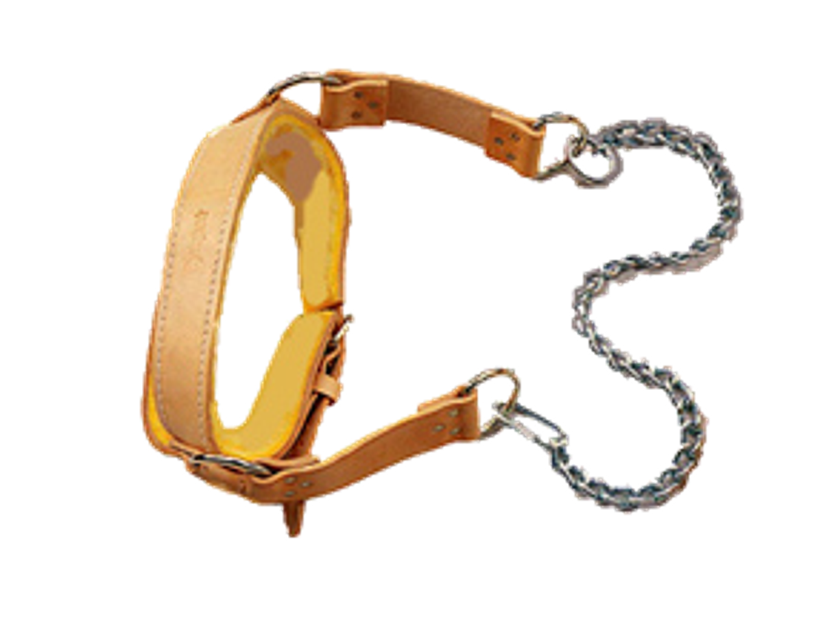Apollo Athletics H-belt Leather head belt with chain - Commercial fitness equipment