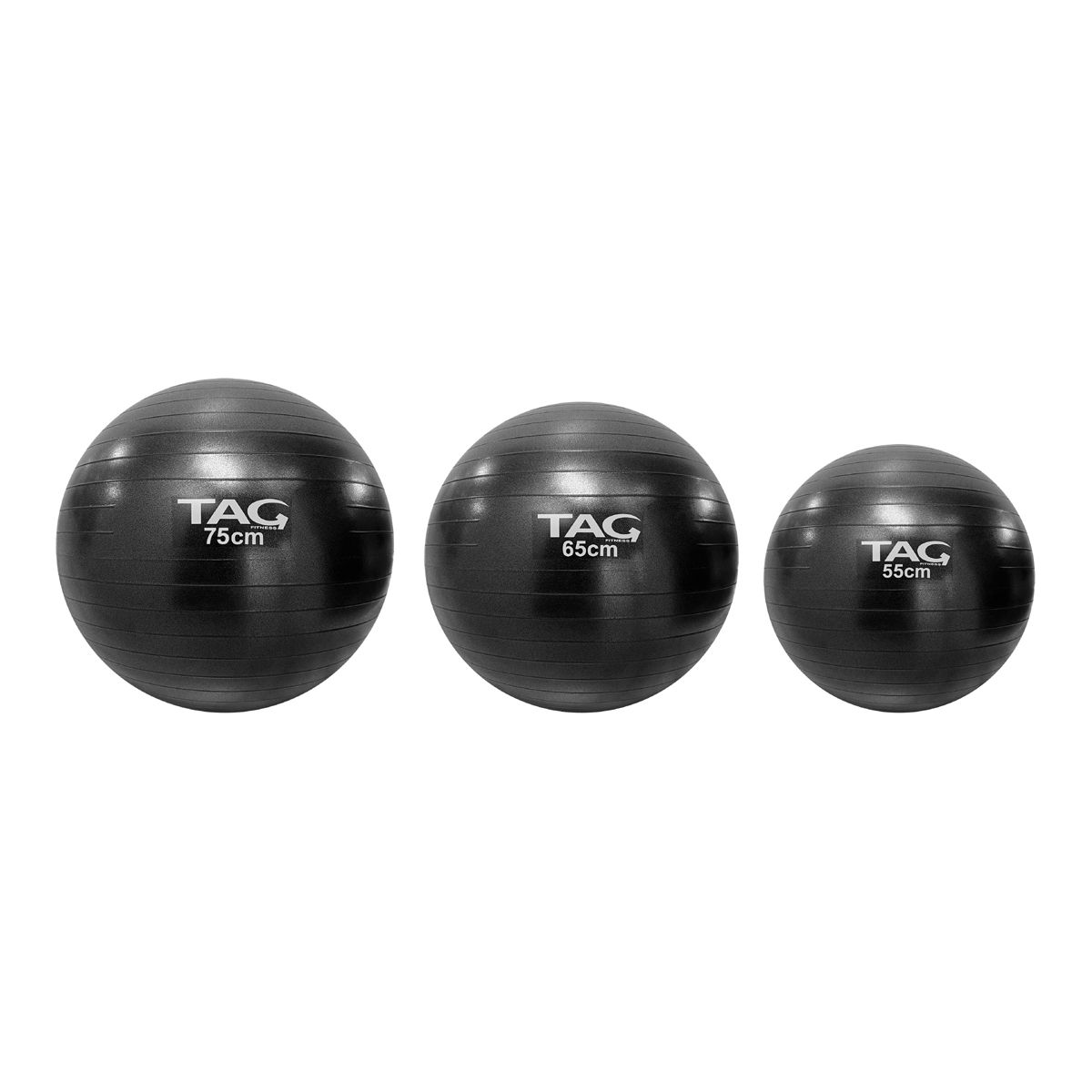 Tag Fitness Stability Ball