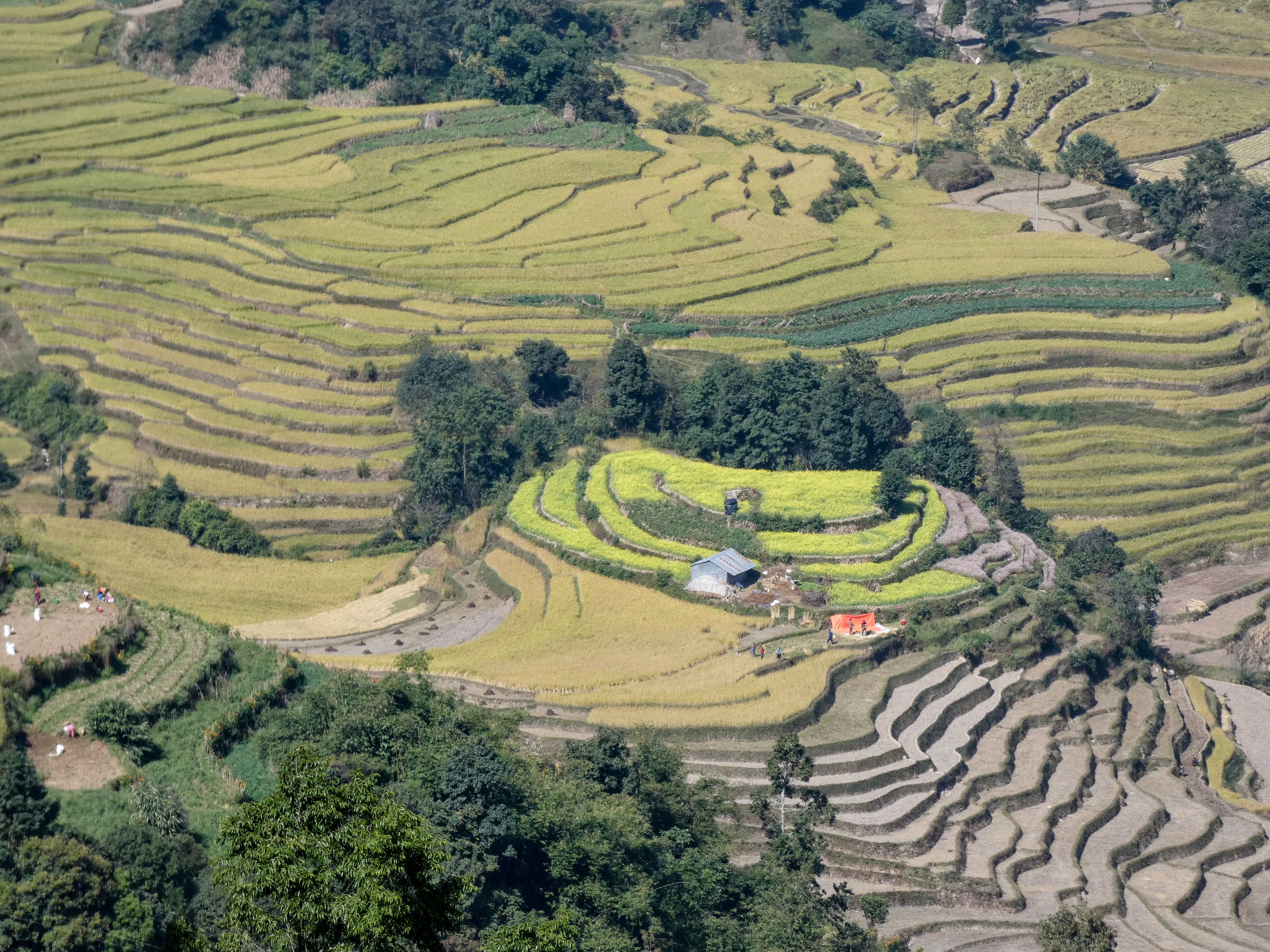 Nepal Teil 3: Von alten Königsstädten zu neuen Bergabenteuern