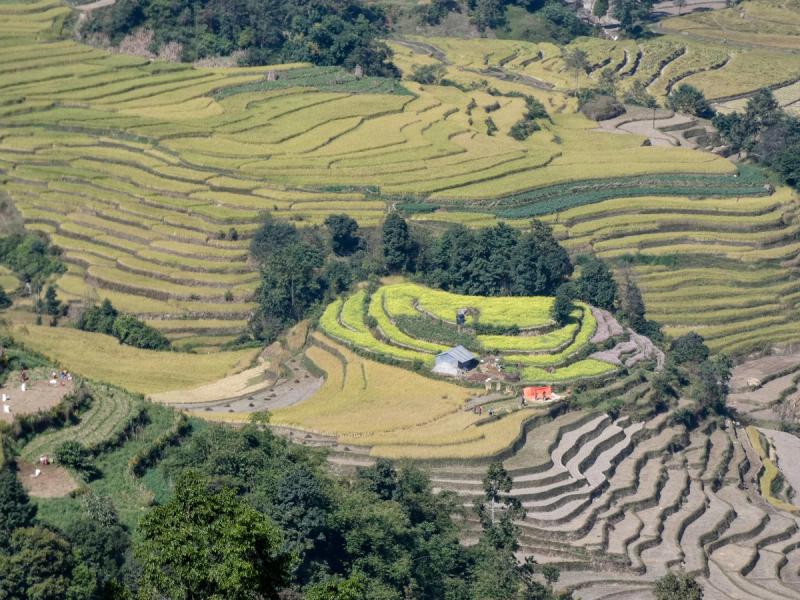Nepal Teil 3: Von alten Königsstädten zu neuen Bergabenteuern