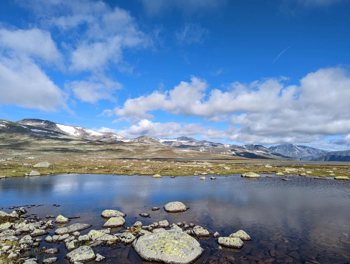Berglandschaft des Skandinavien-Roadtrips