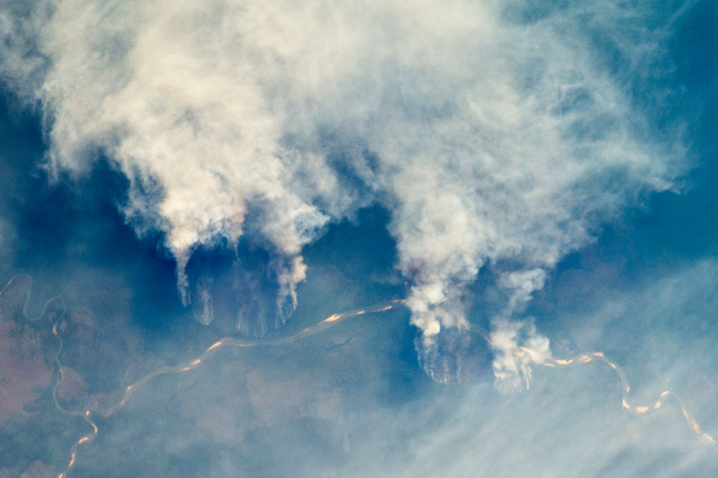 VIIRS I-Band 375 m Active Fire Data x Global Forest Watch API