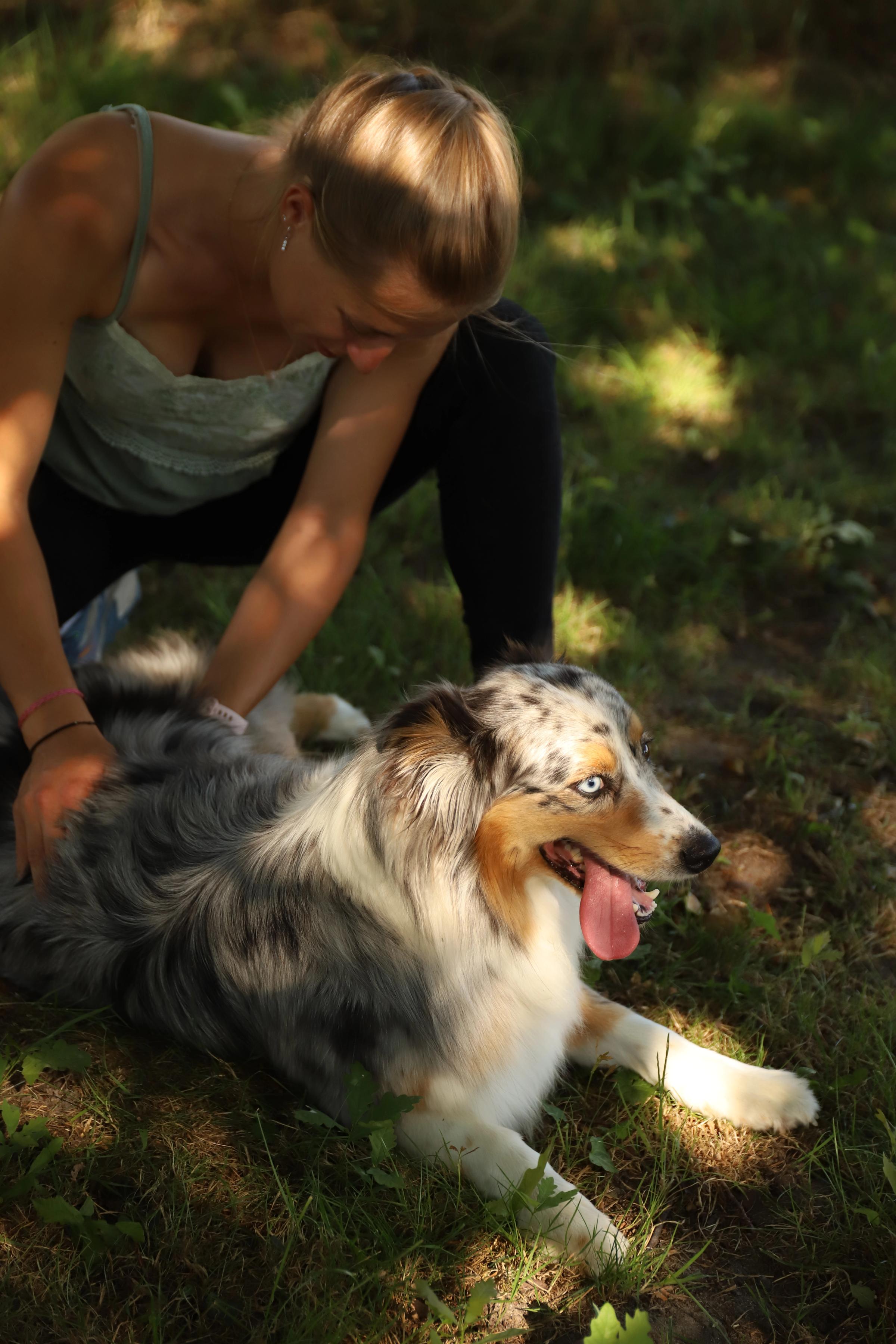 Manipulation ostéopathique du système viscéral sur une chienne.