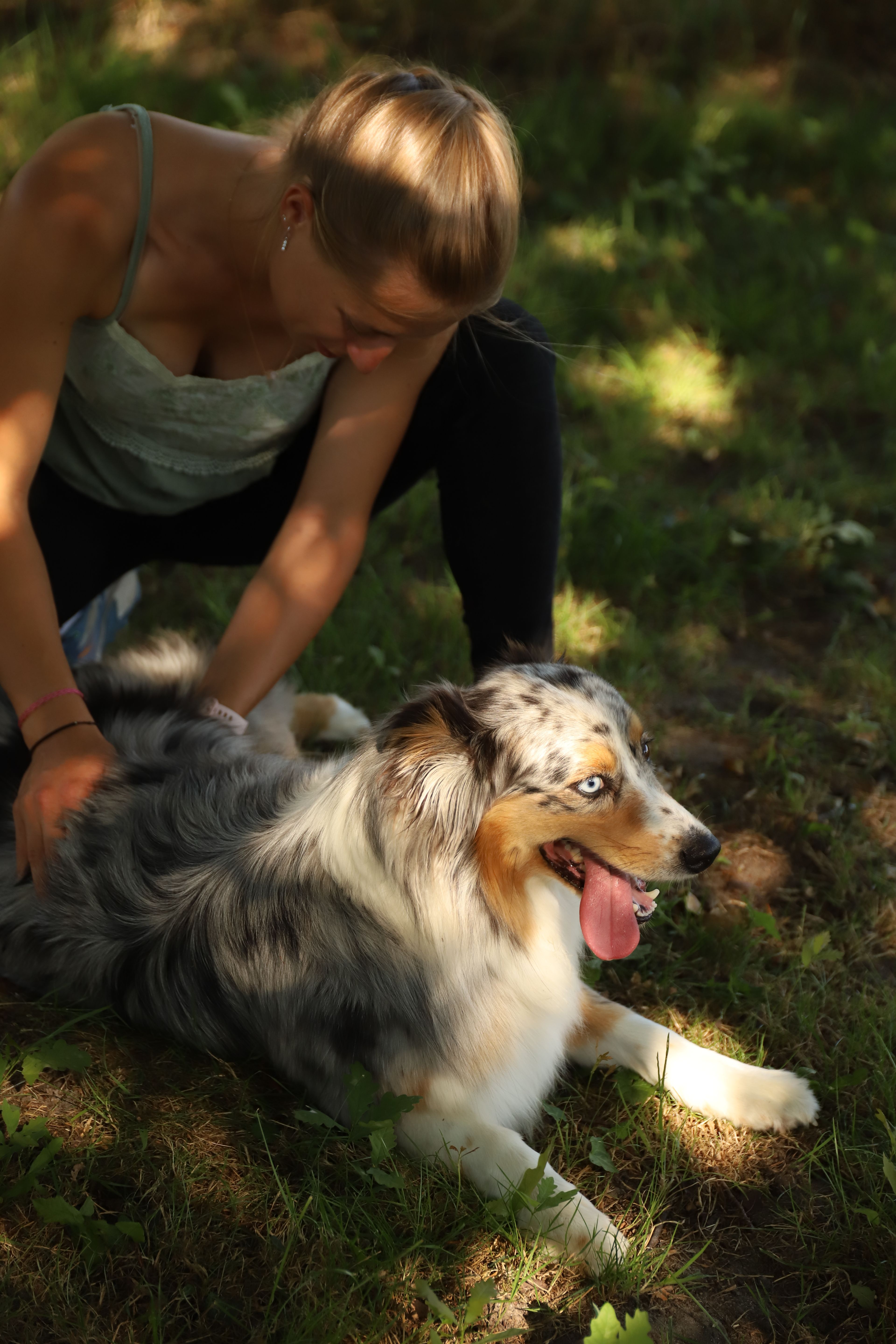 Manipulation ostéopathique du système viscéral sur une chienne.