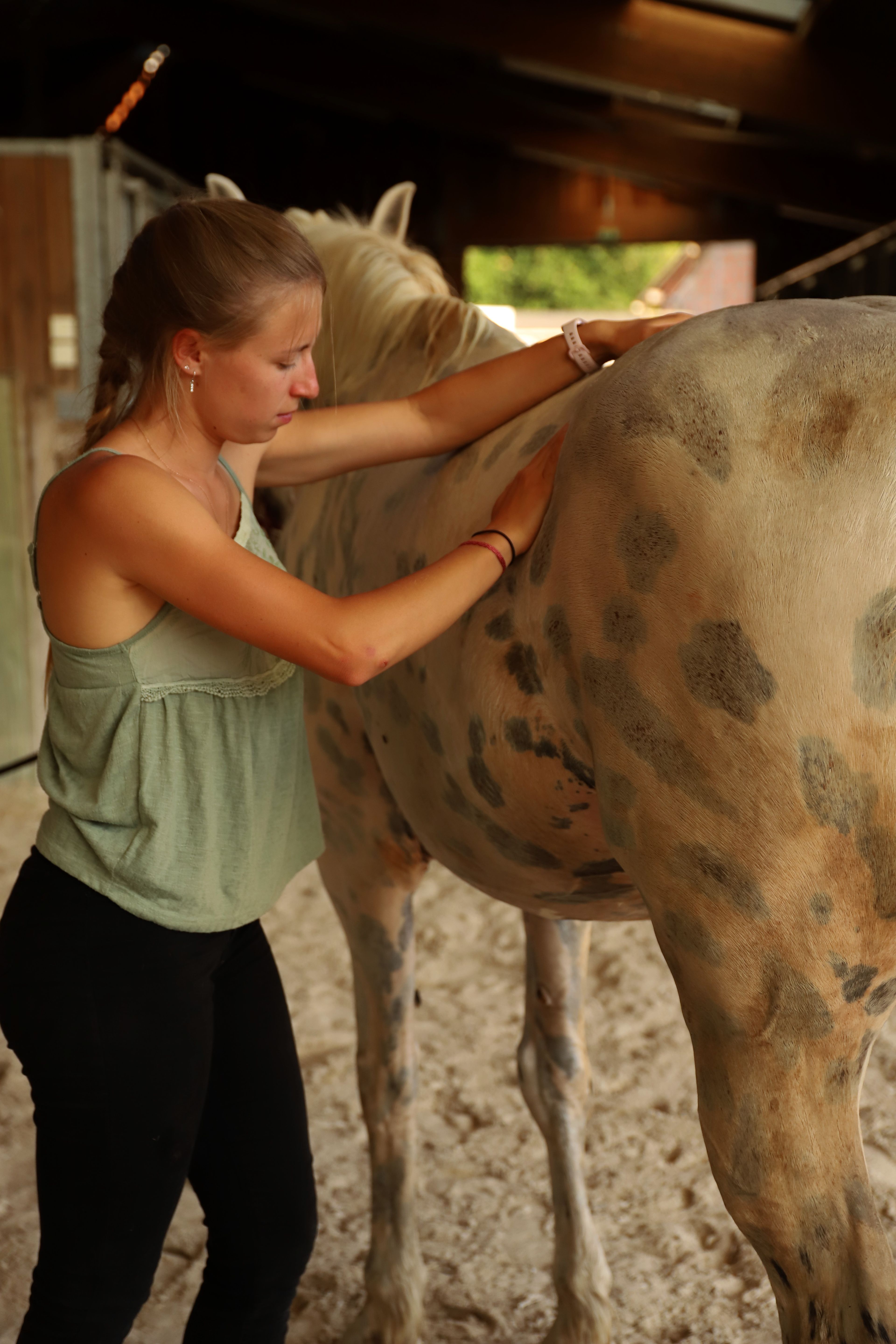 Manipulation d'une jument