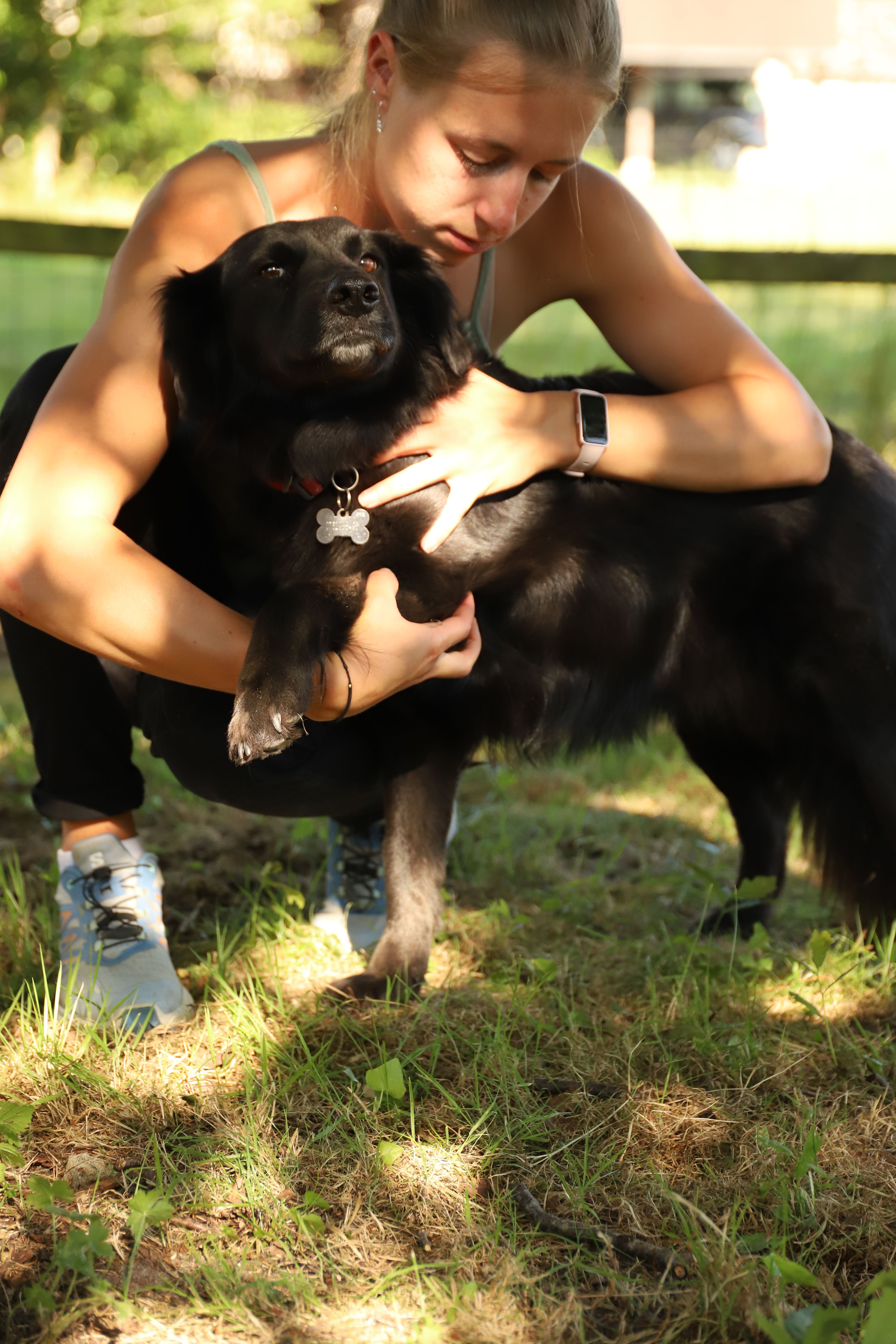 Séance d'ostéopathie sur un chien