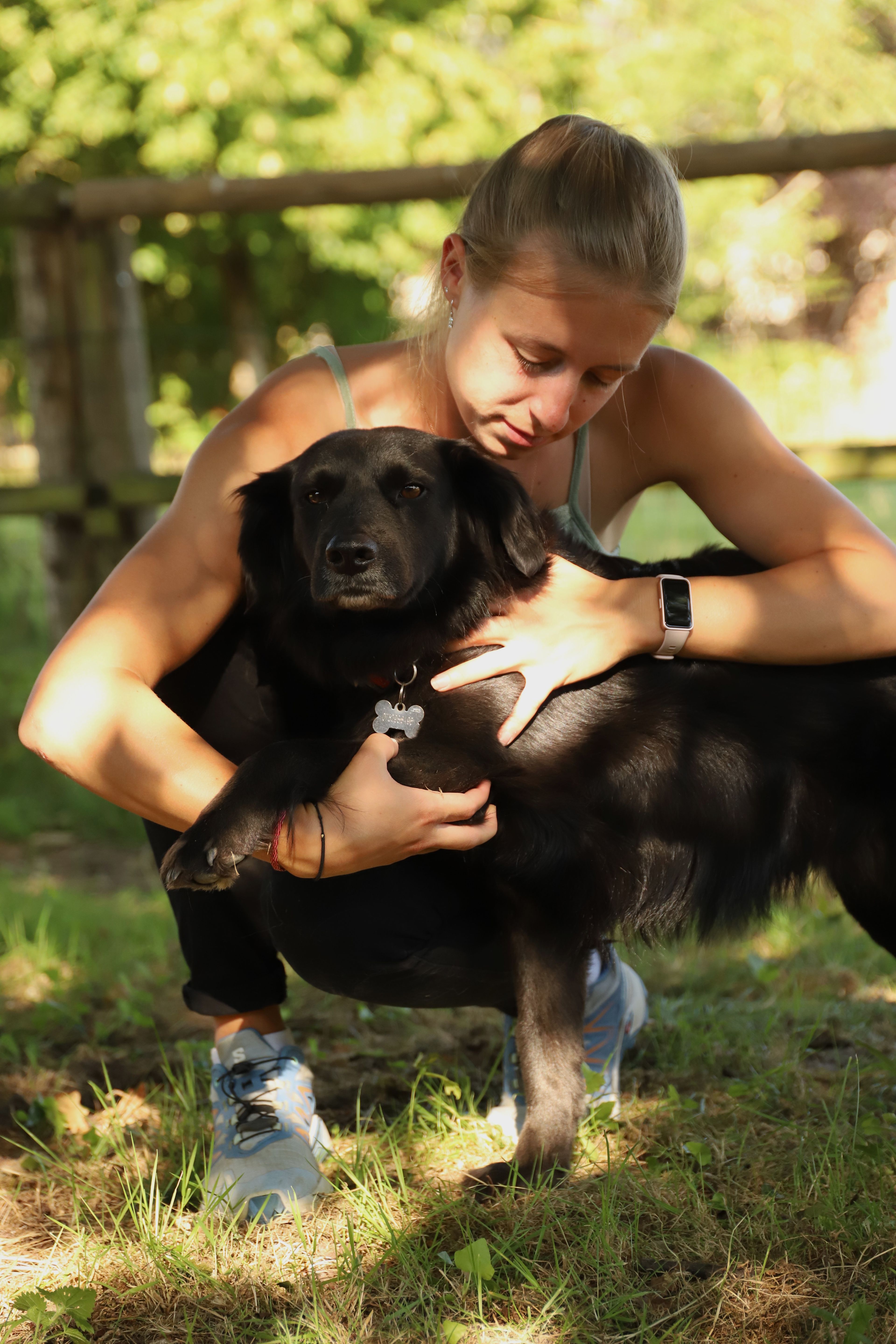 Séance d'ostéopathie avec manipulation de l'épaule d'un chien.