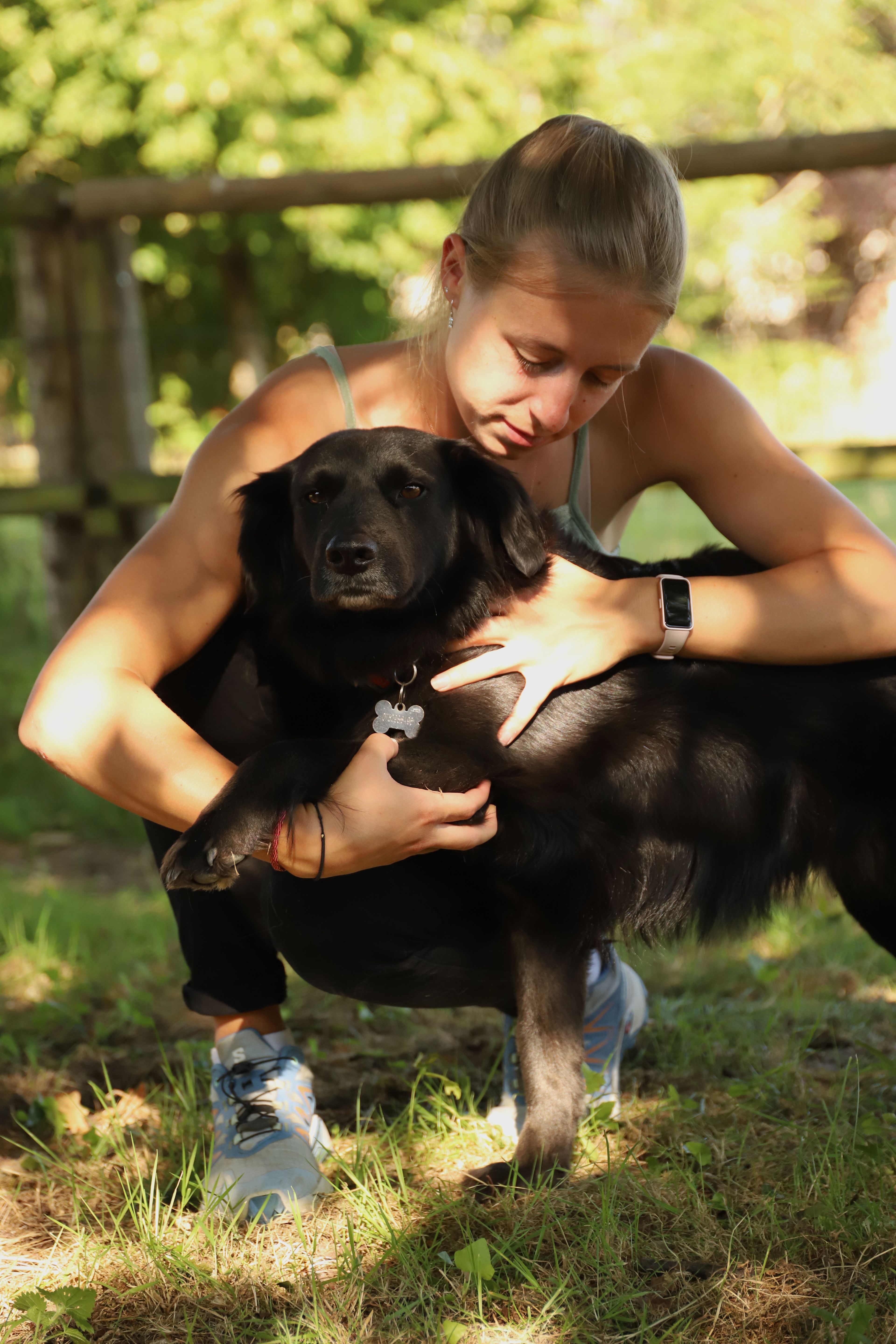 Séance d'ostéopathie avec manipulation de l'épaule d'un chien.