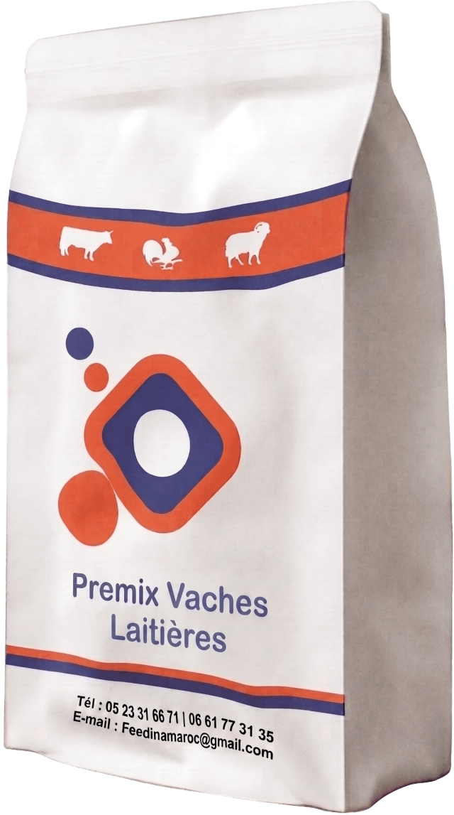 Premix Vaches Laitières