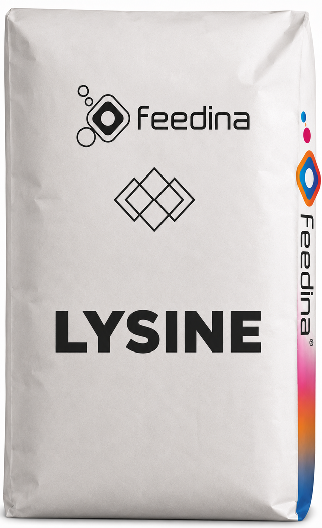 L-Lysine HCl