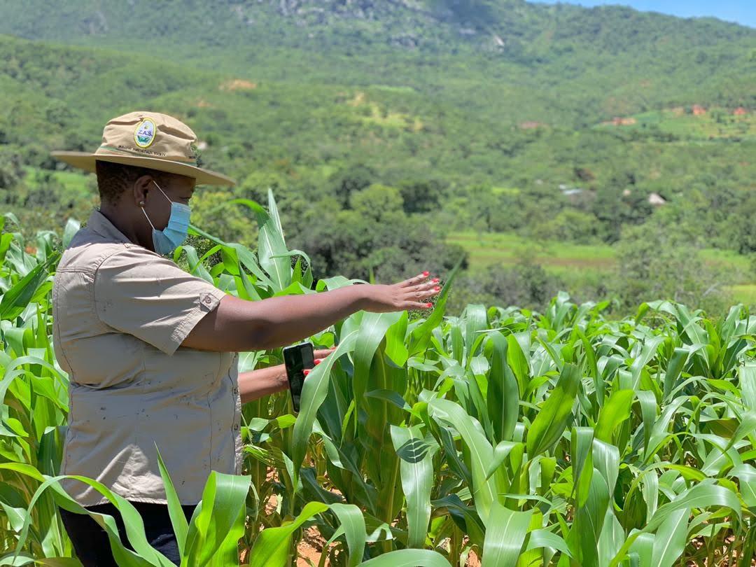 Zim Ag Show 2021 — frame 19