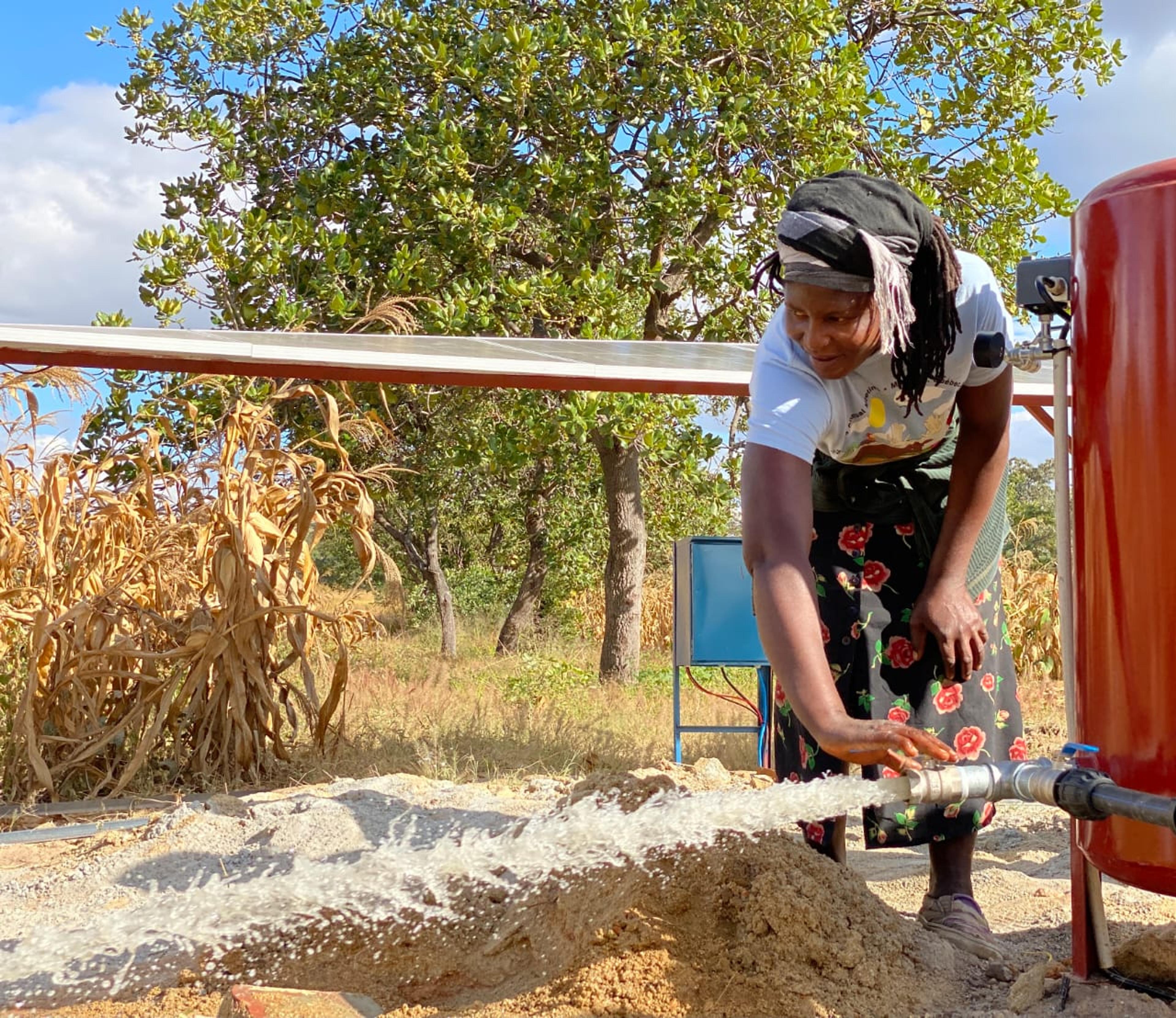 Zim Ag Show 2021 — frame 11