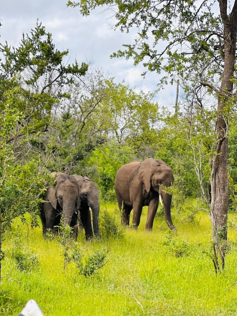 Driving from Victoria Falls to Hwange National Park