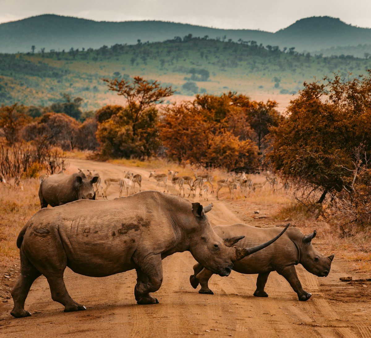 Mana Pools