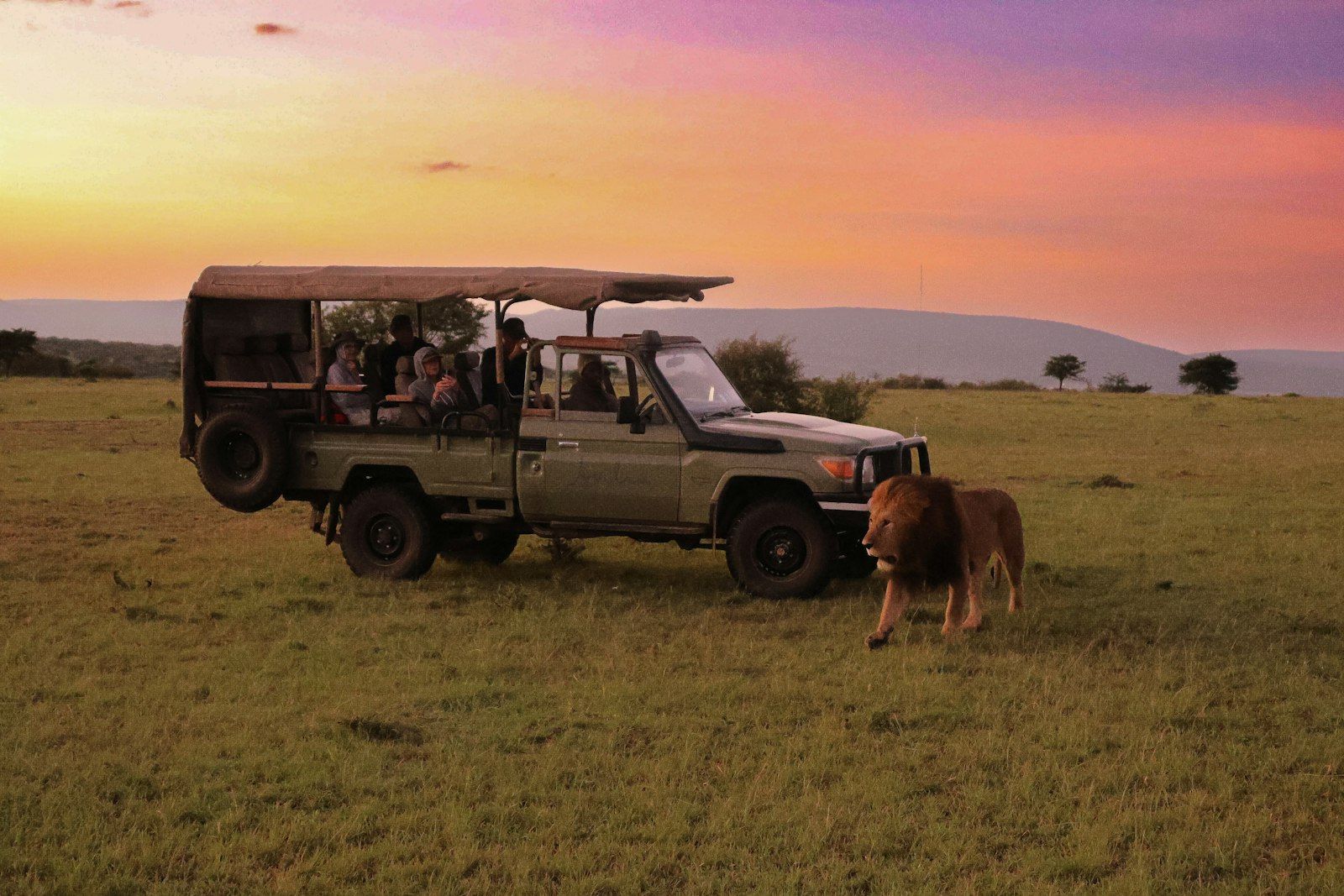 Luxury Safaris
