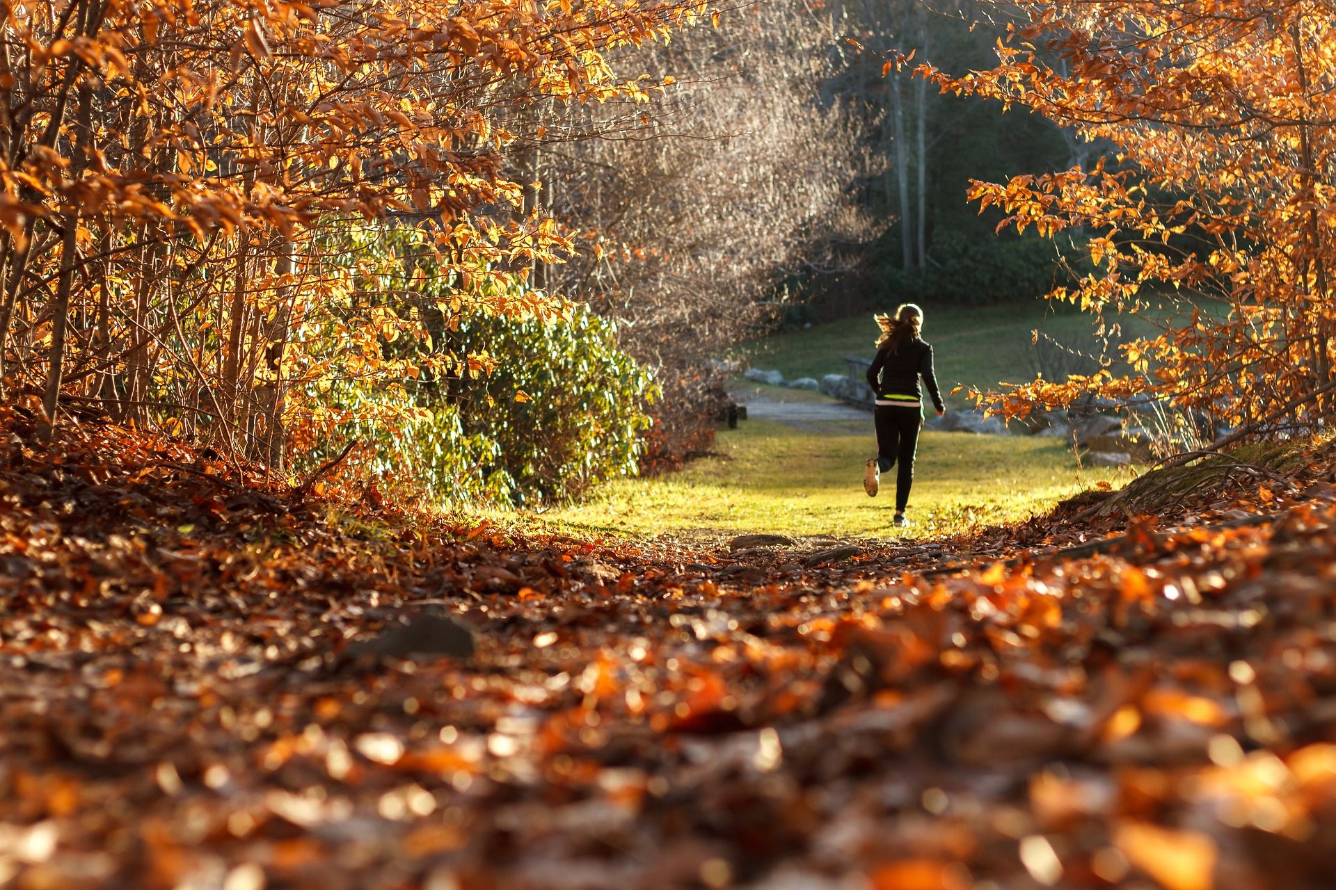 Kvinna springer i en skog på hösten