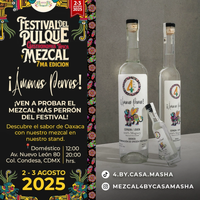 Festival Del Pulque, Gastronomía Tipica y Mezcal